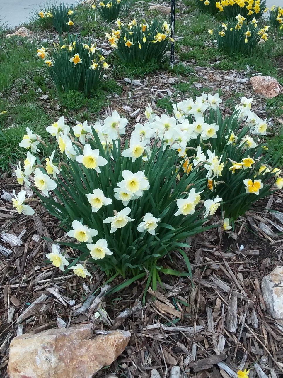 Photo by shannonw937