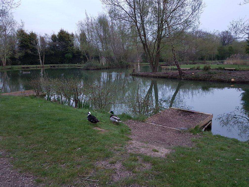 Wassell Grove Camping & Caravanning Ltd