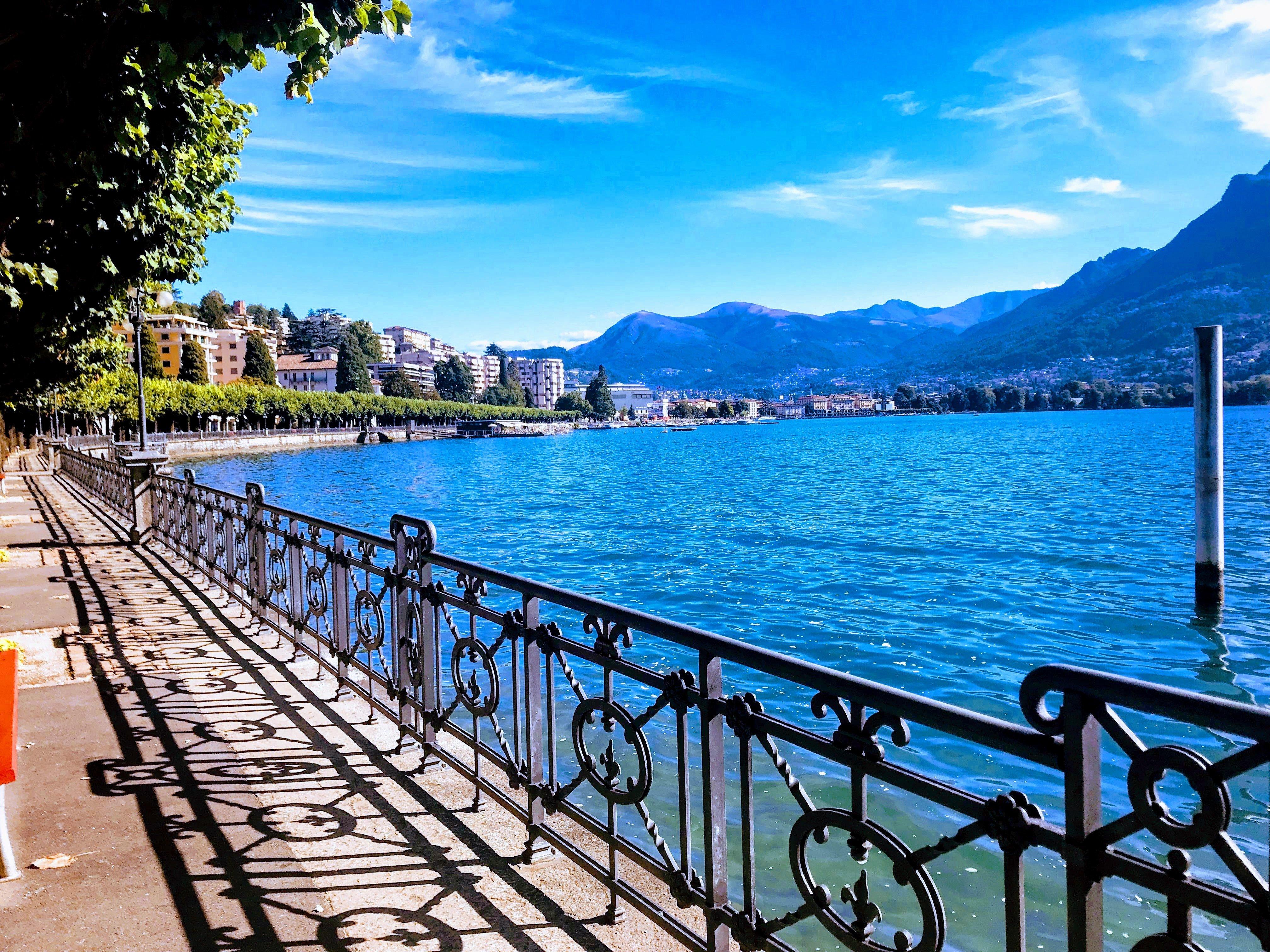 Butterfly Institute Fine Art