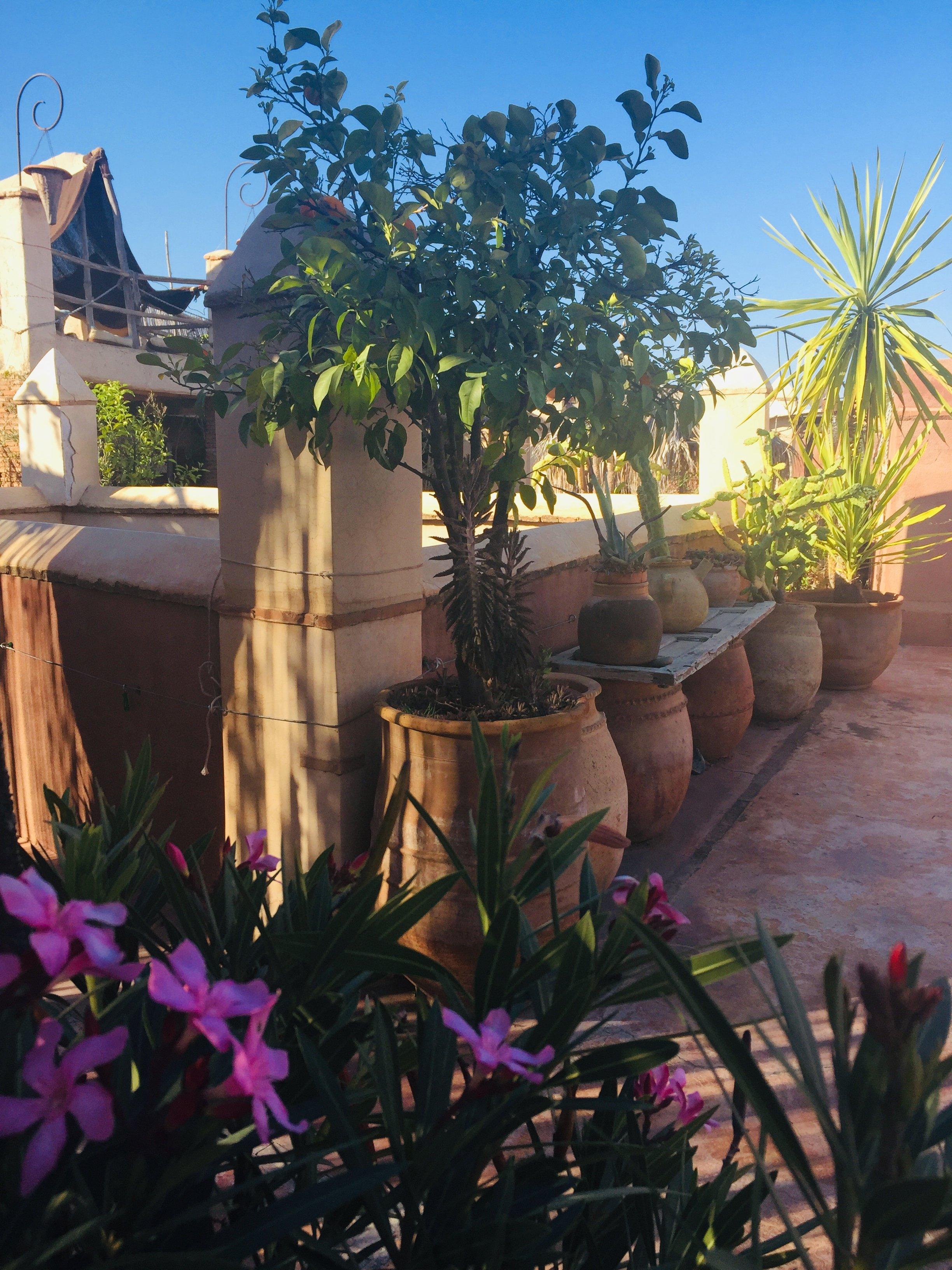 Riad les Inseparables