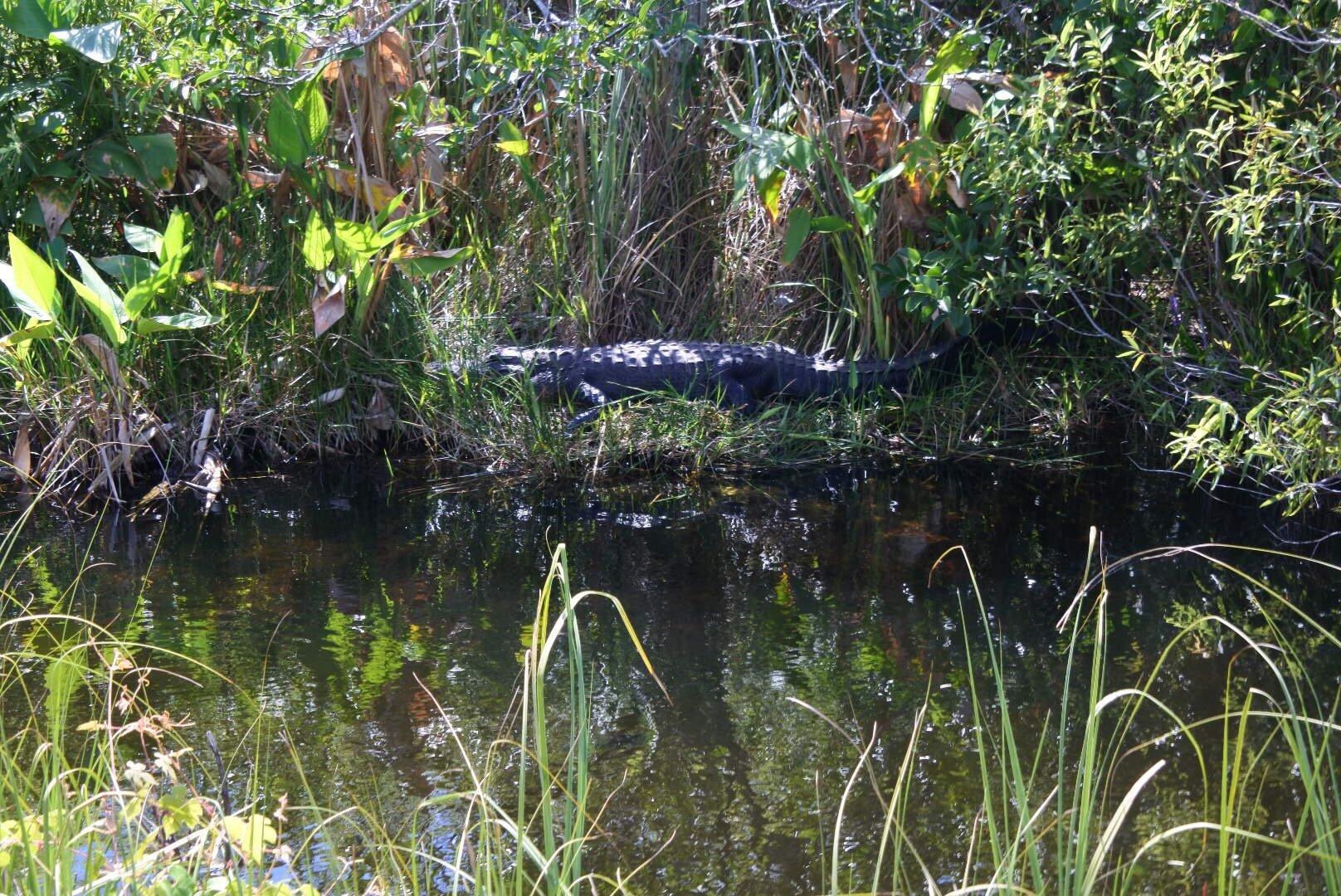 Photo by 366willemijnv