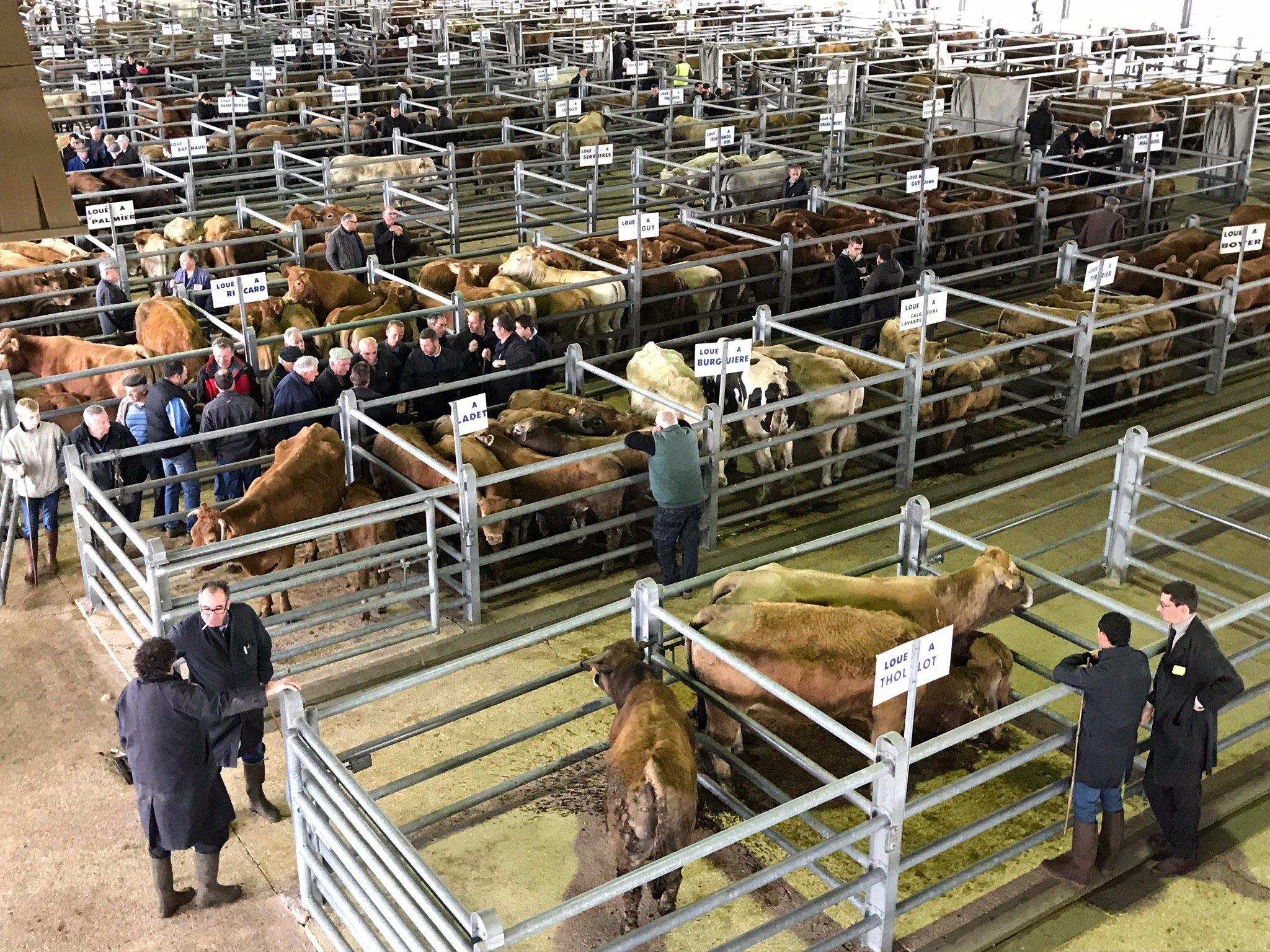 Marché aux Bestiaux