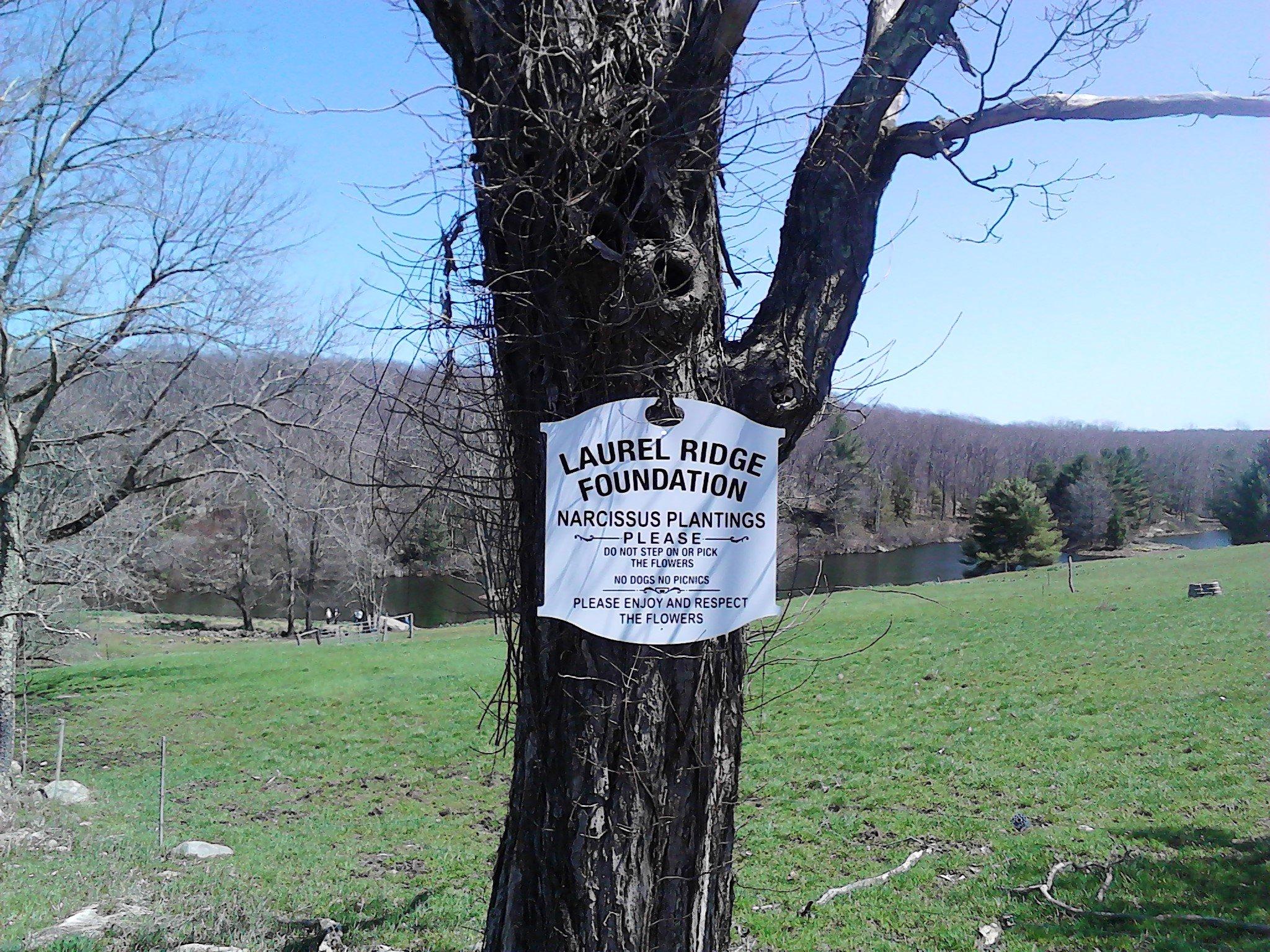 Laurel Ridge Farm