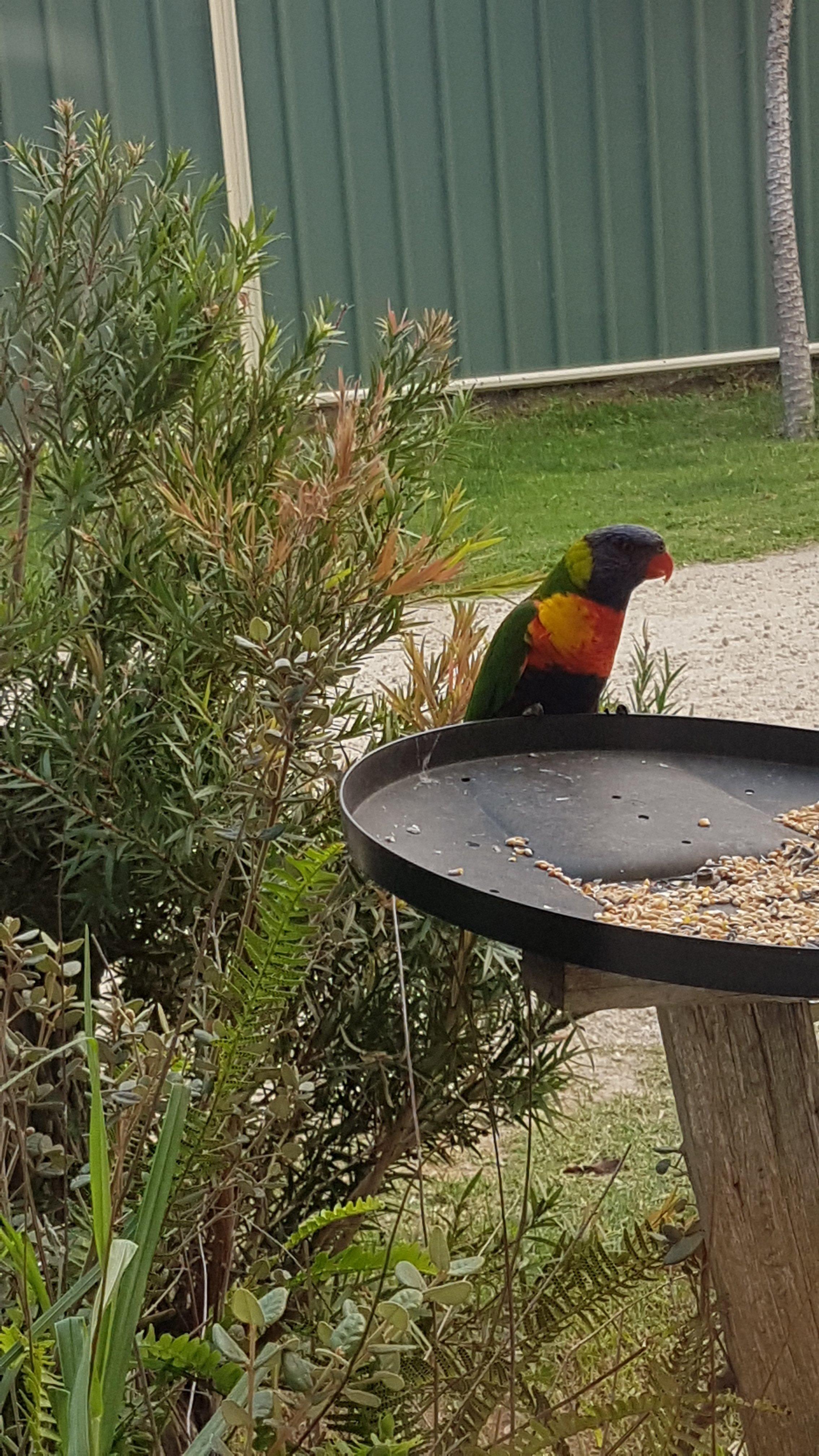 Photo by jacquikimber