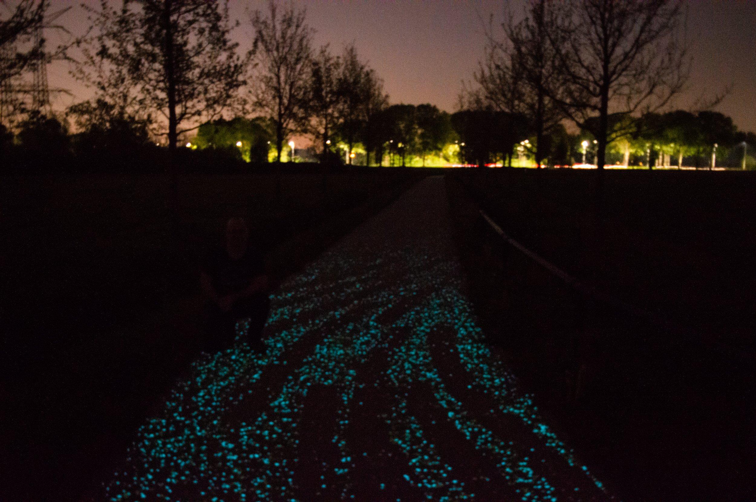Van Gogh Roosegaarde fietspad