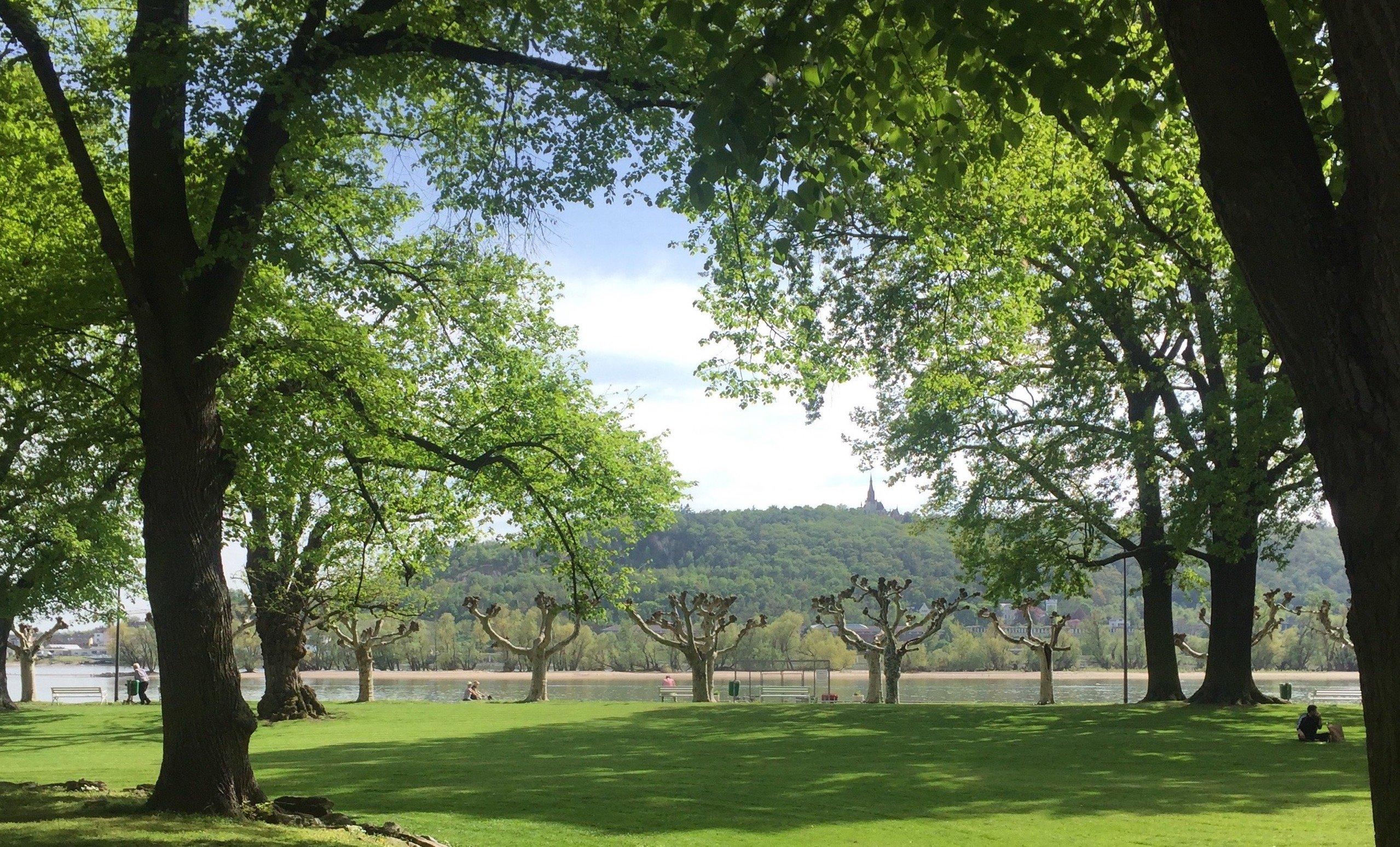 Hafenpark - Welterbegarten