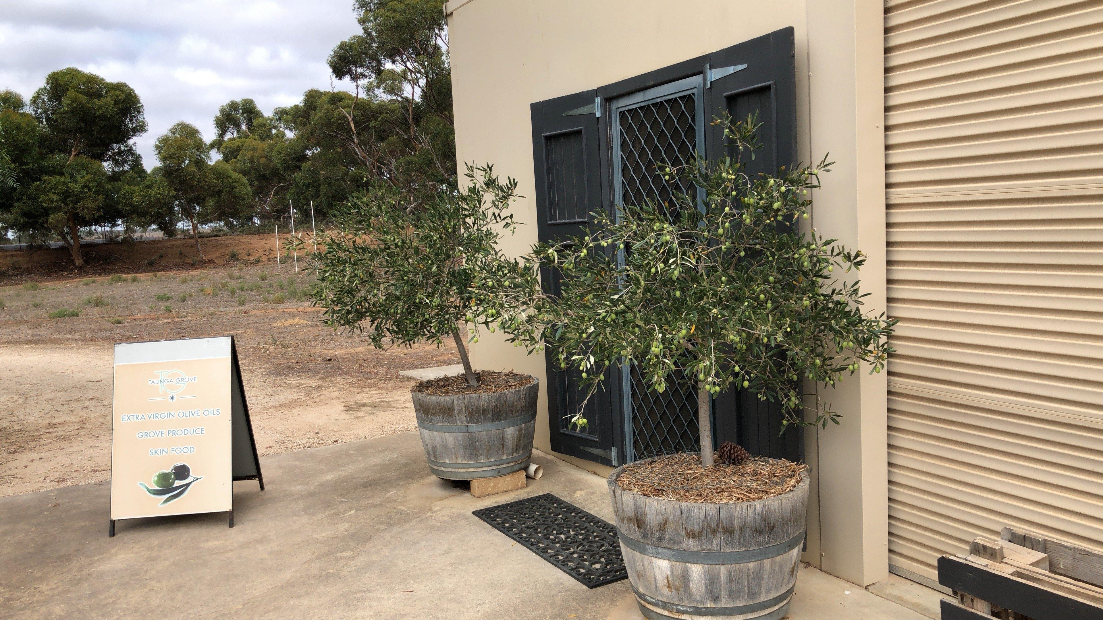 Talinga Grove Farm Store