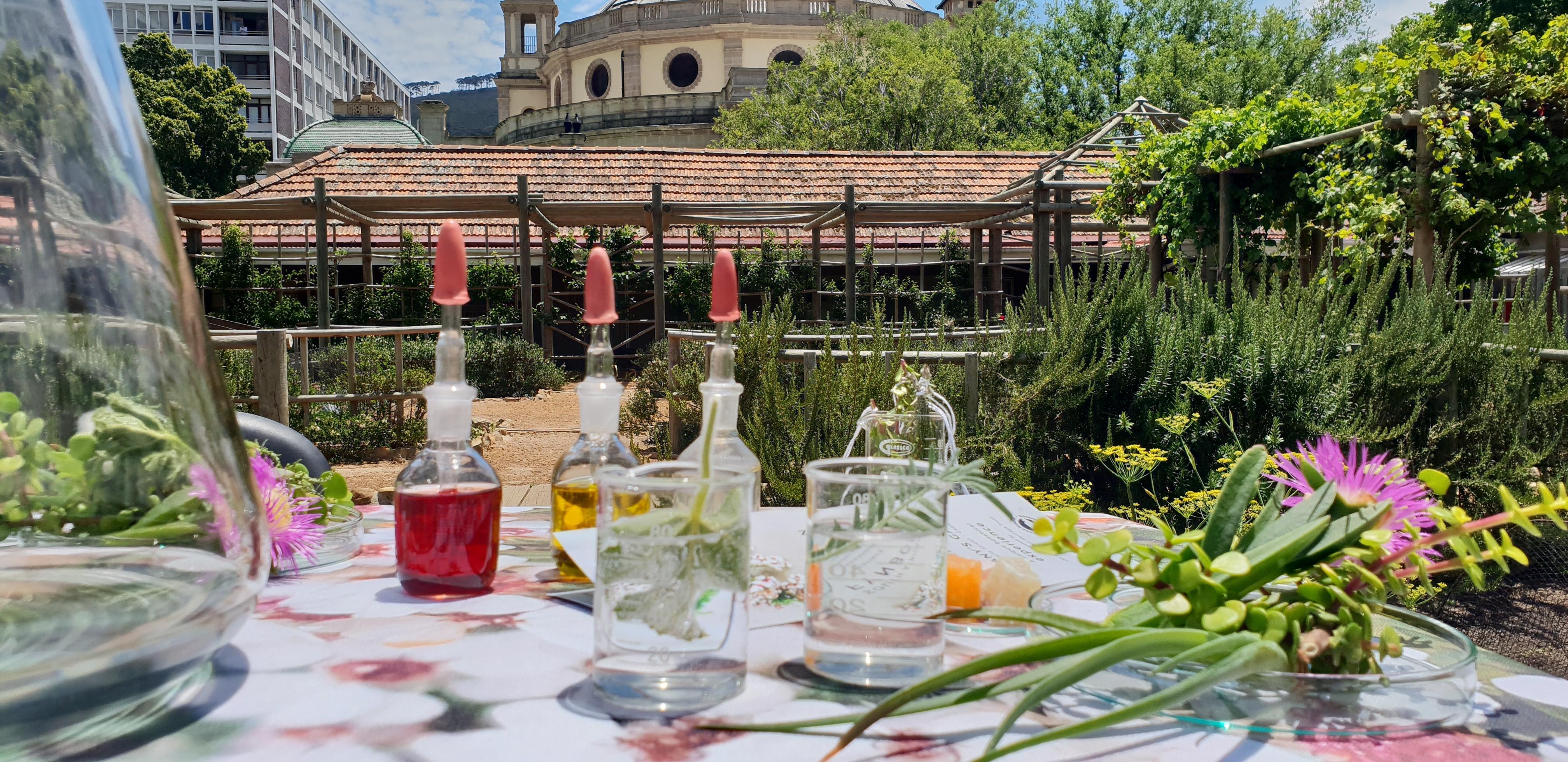 Cape Town Fynbos Experience