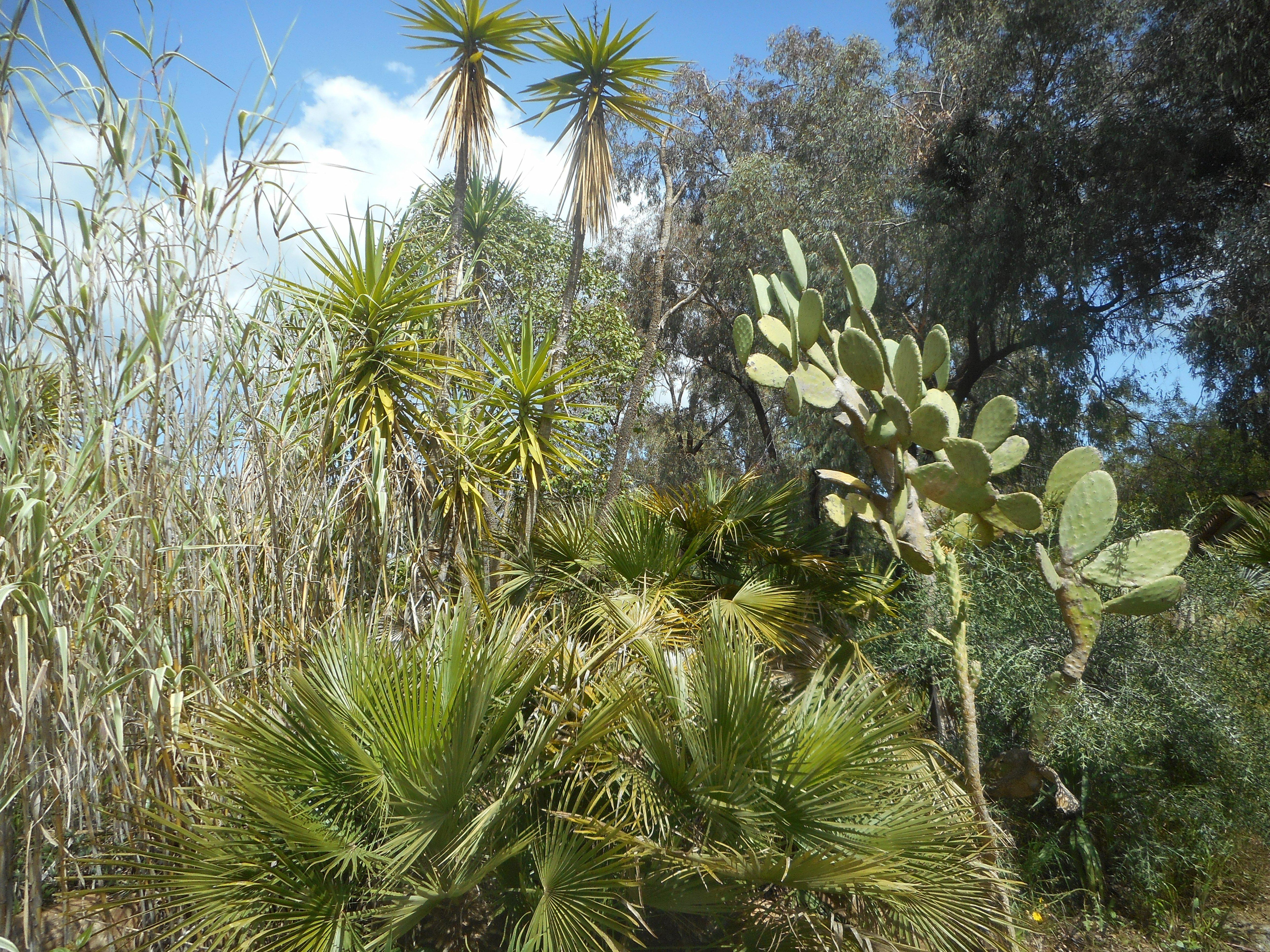 Jardin Zoologique Tropical