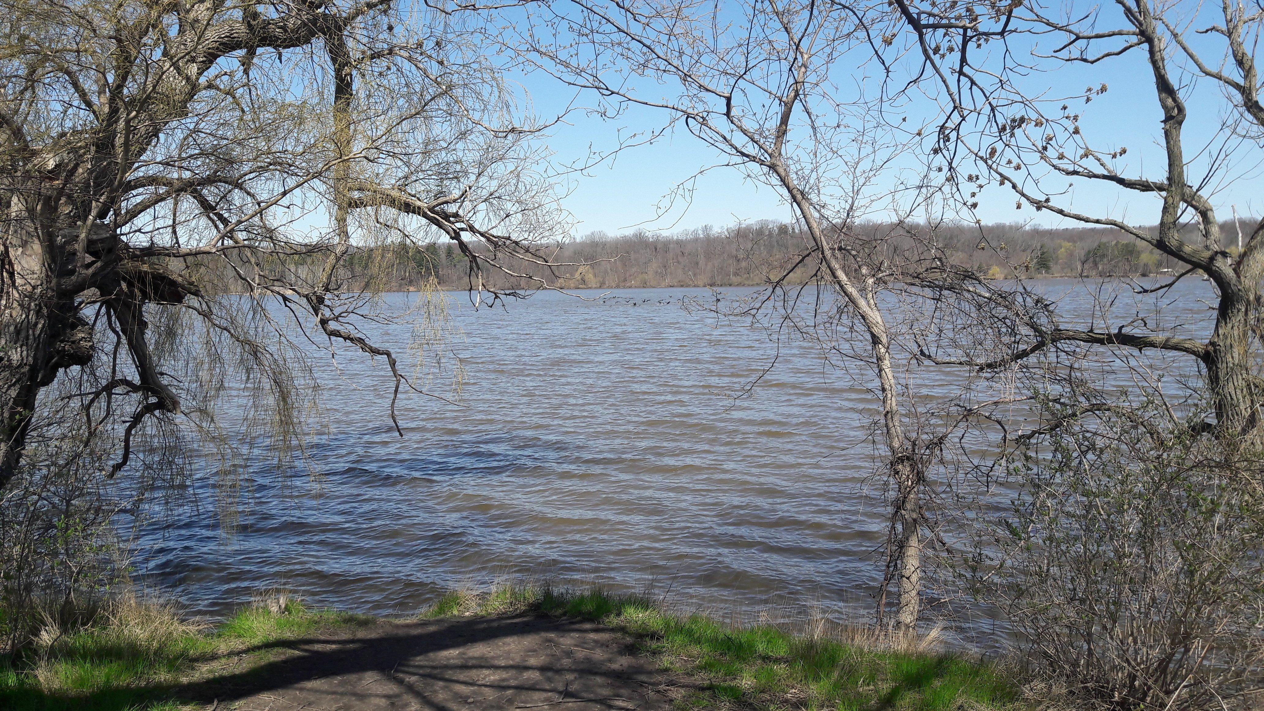 Princess Point Woodland Trails