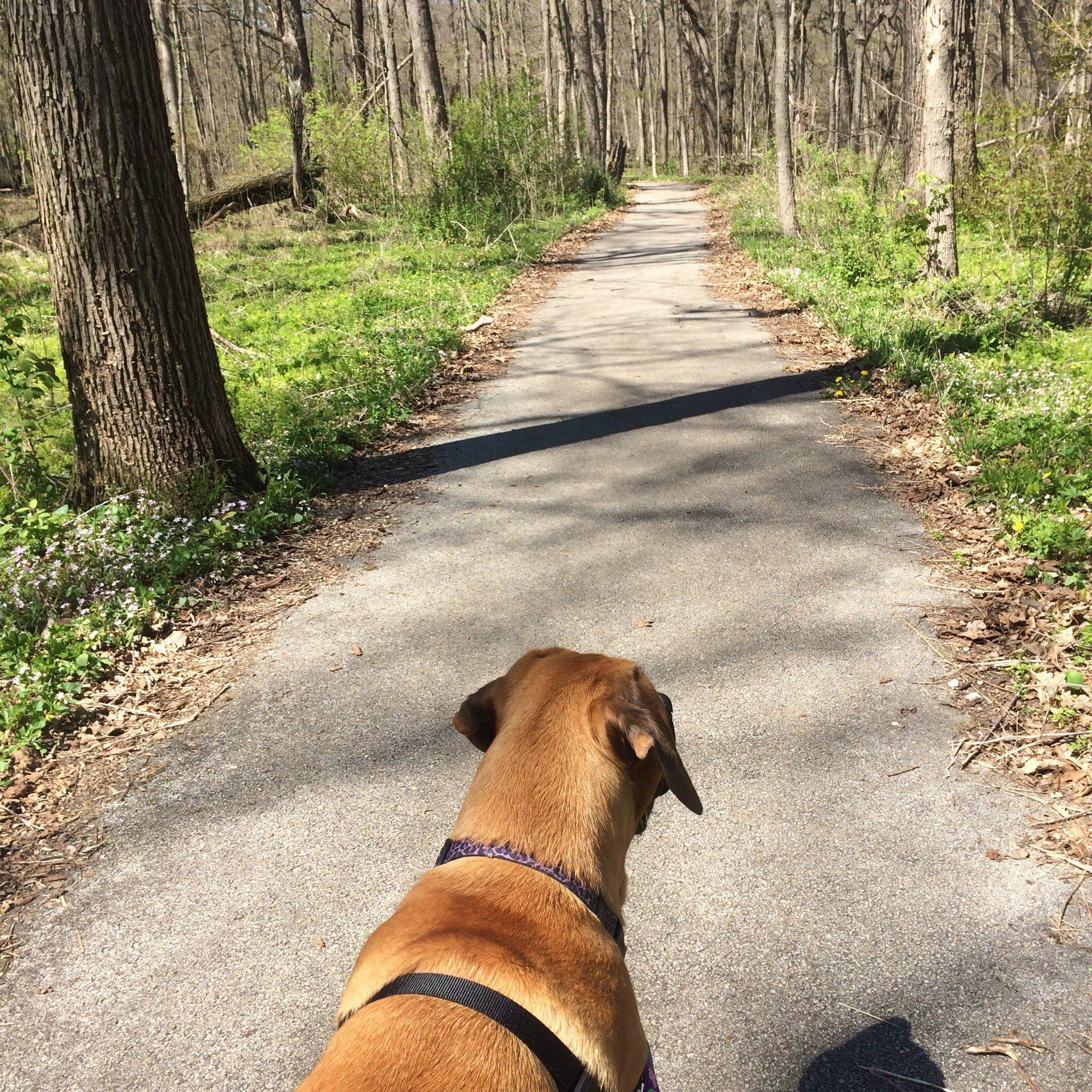 Old Plank Road Trail