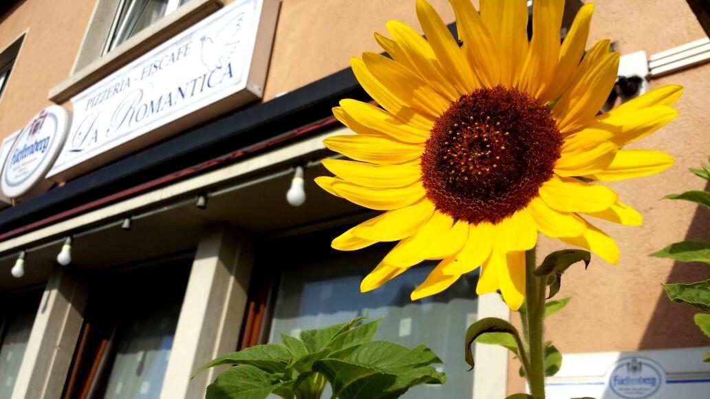 La Romantica - Pizzeria Ristorante Eiscafe