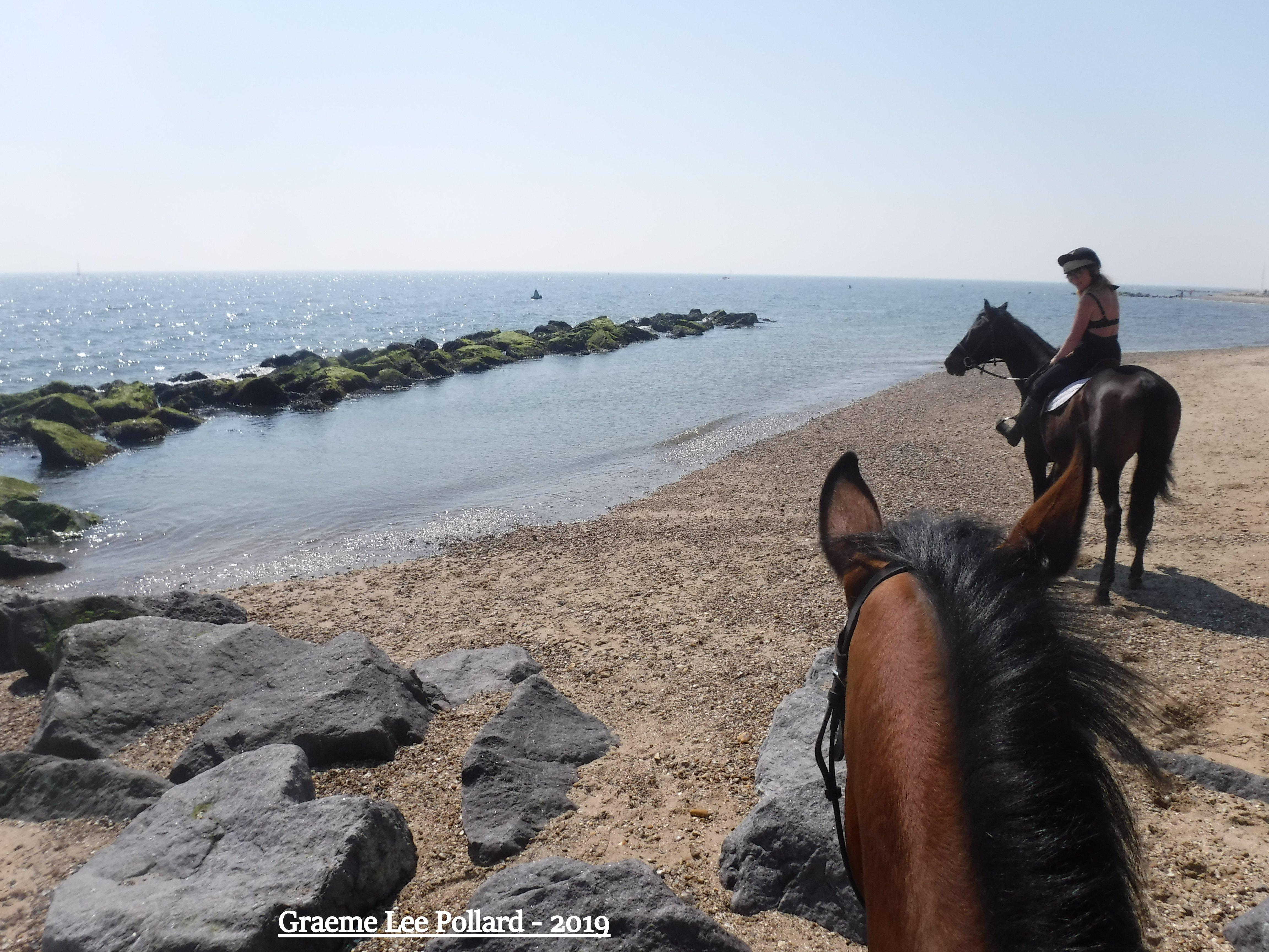 Montys Equestrian Centre