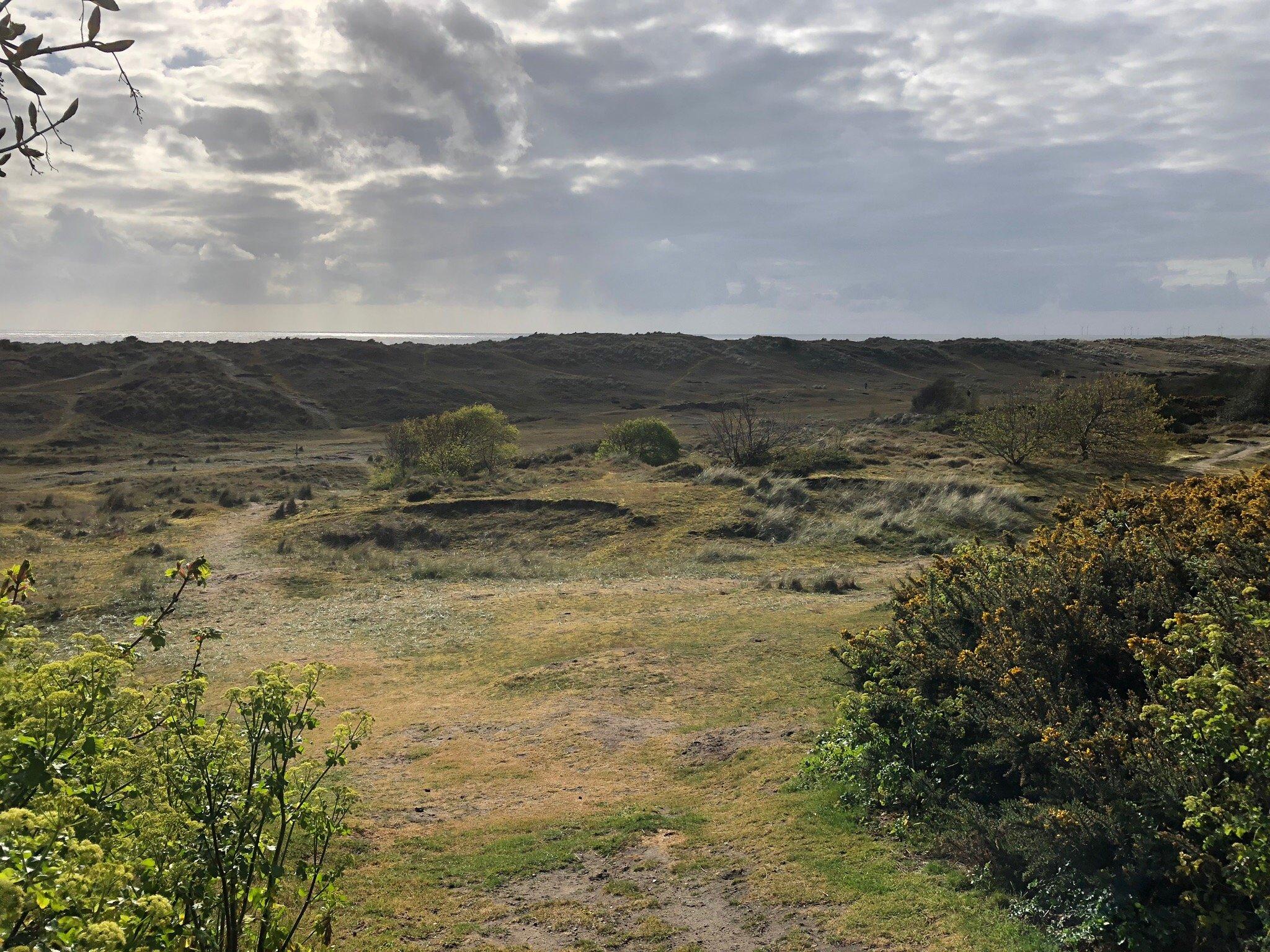 Winterton Dunes