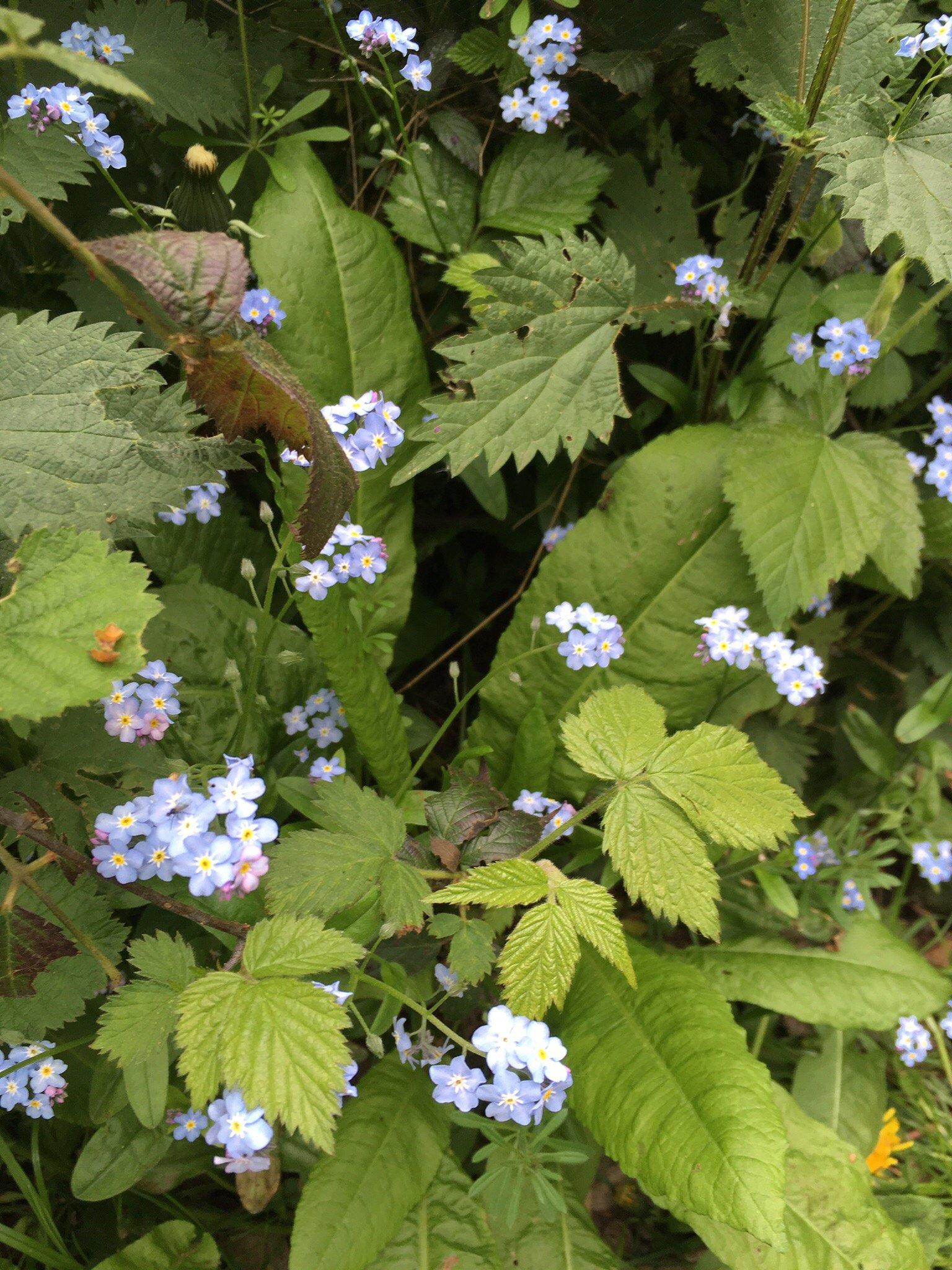 Photo by 249williamm