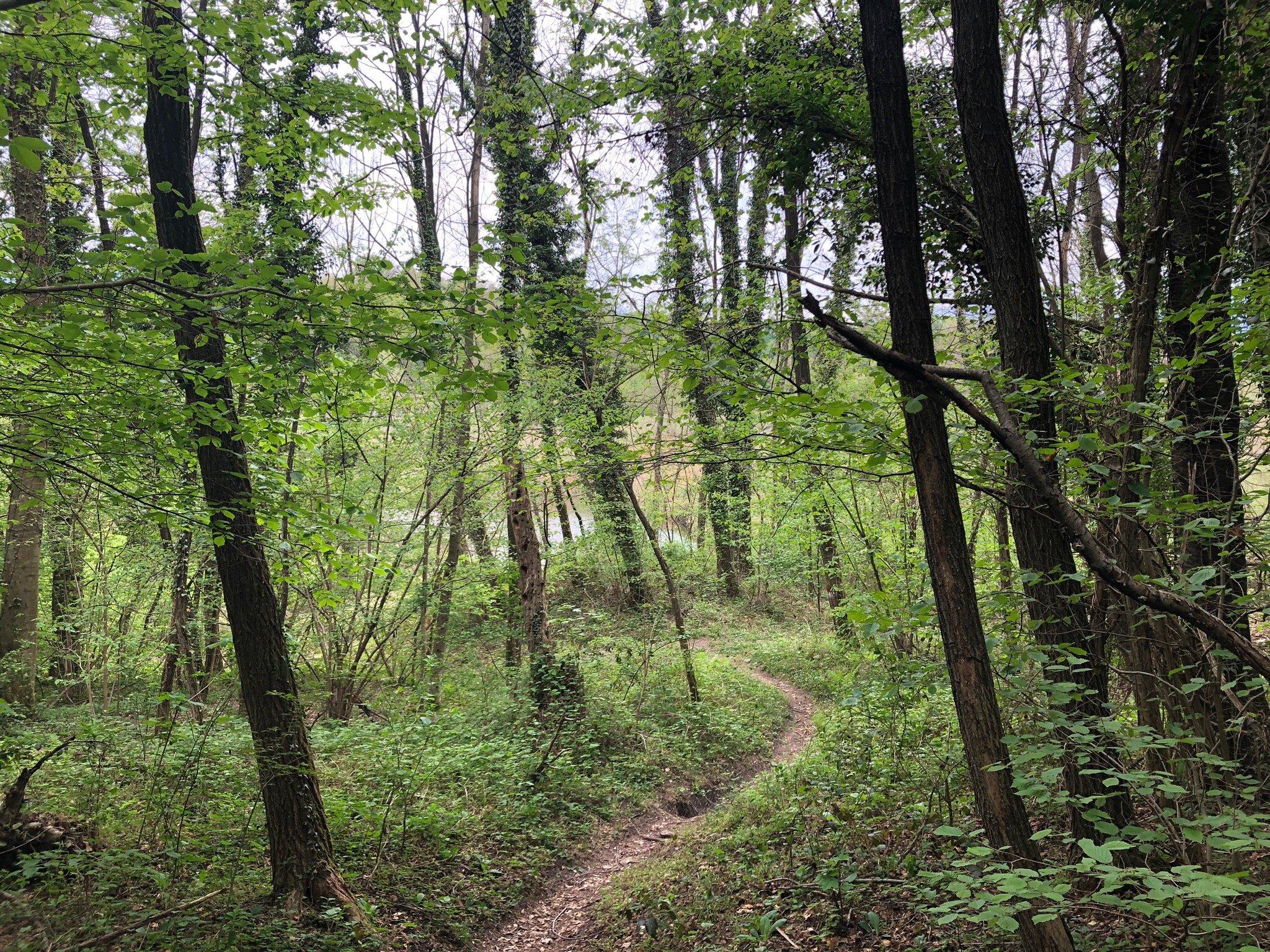 Sentiero de’ Borgheri