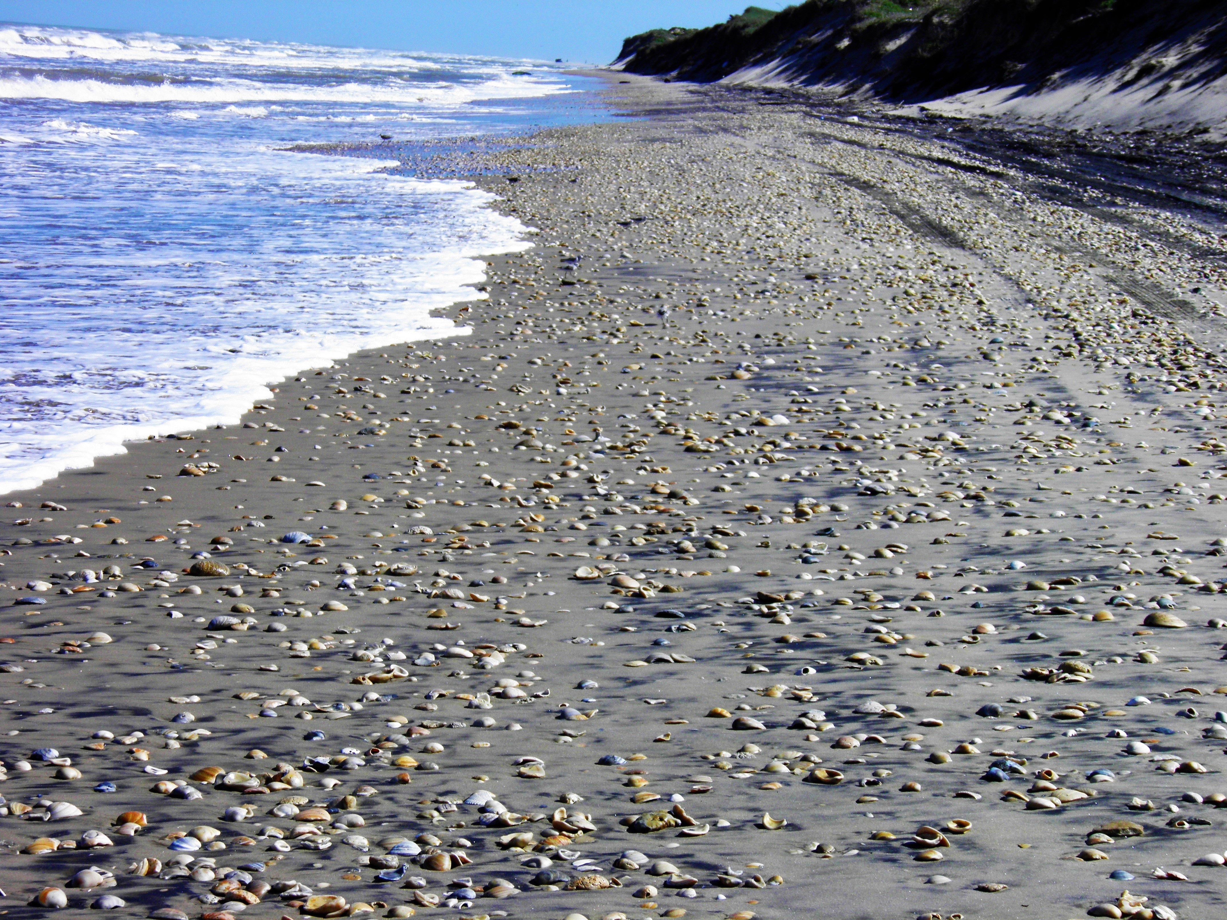 Boca Chica State Park