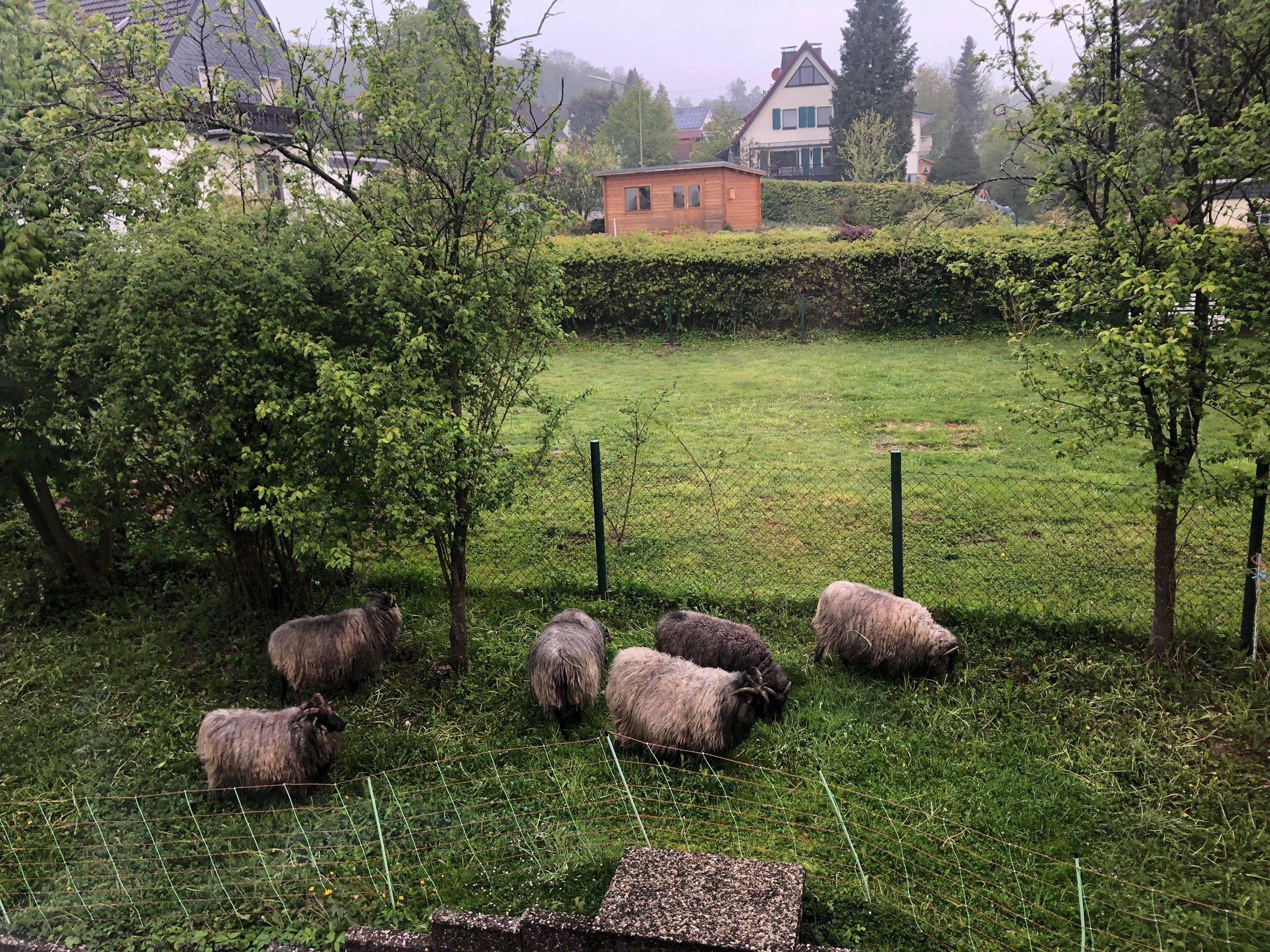 Gasthof Schumacher Hotel Garni