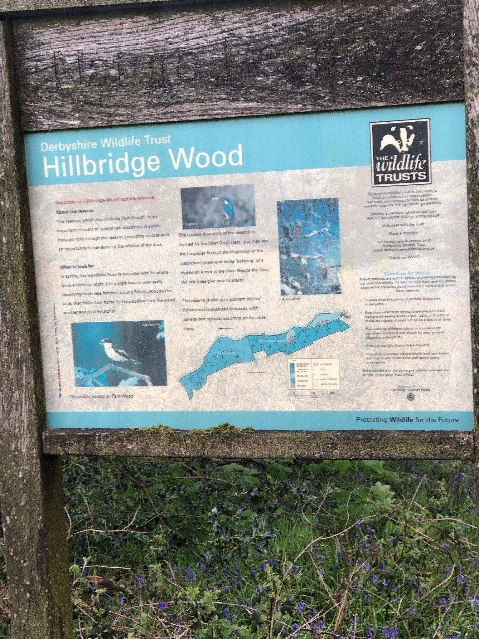 Hillbridge and Park Wood