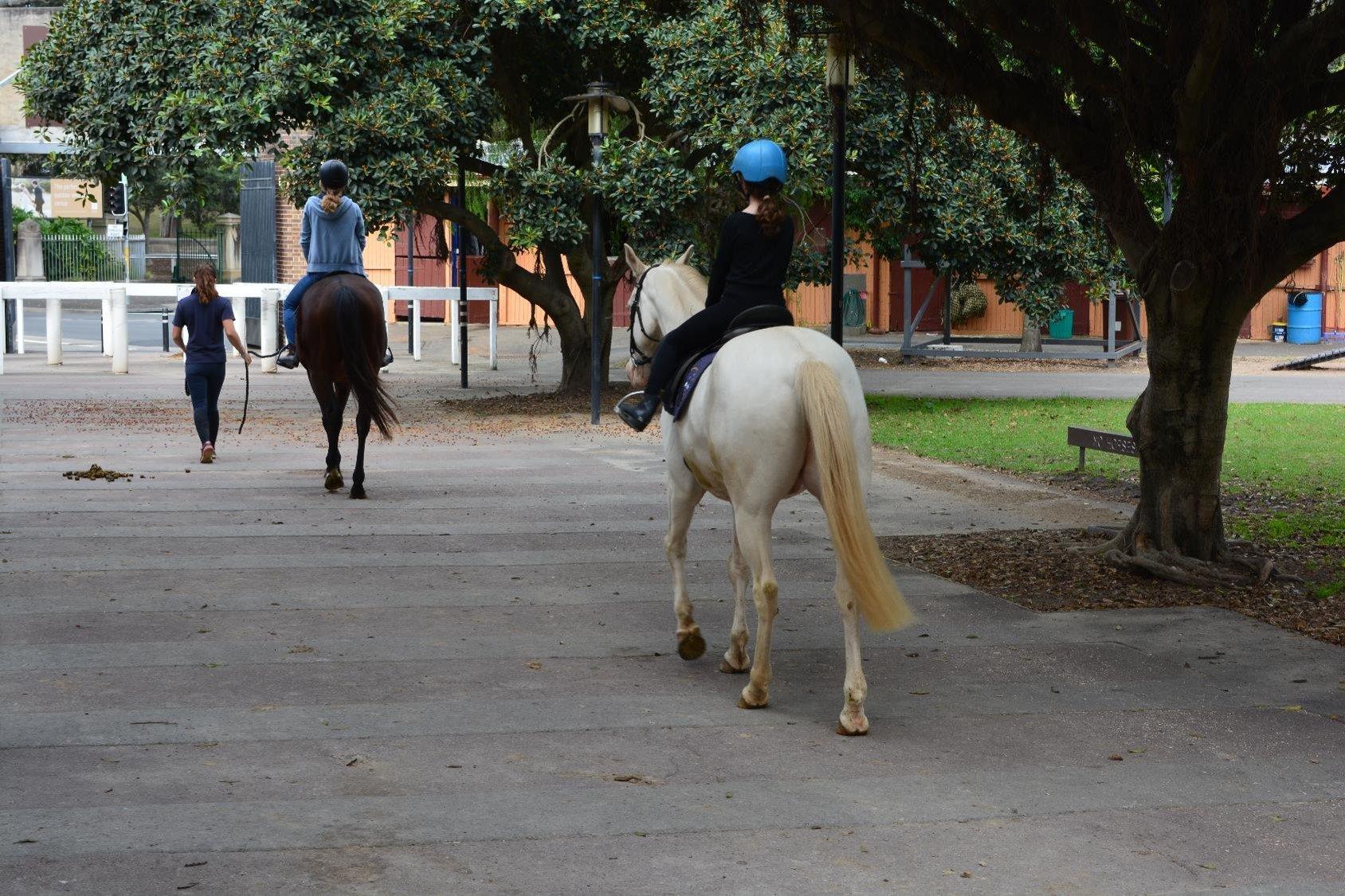 Eastside Riding Academy