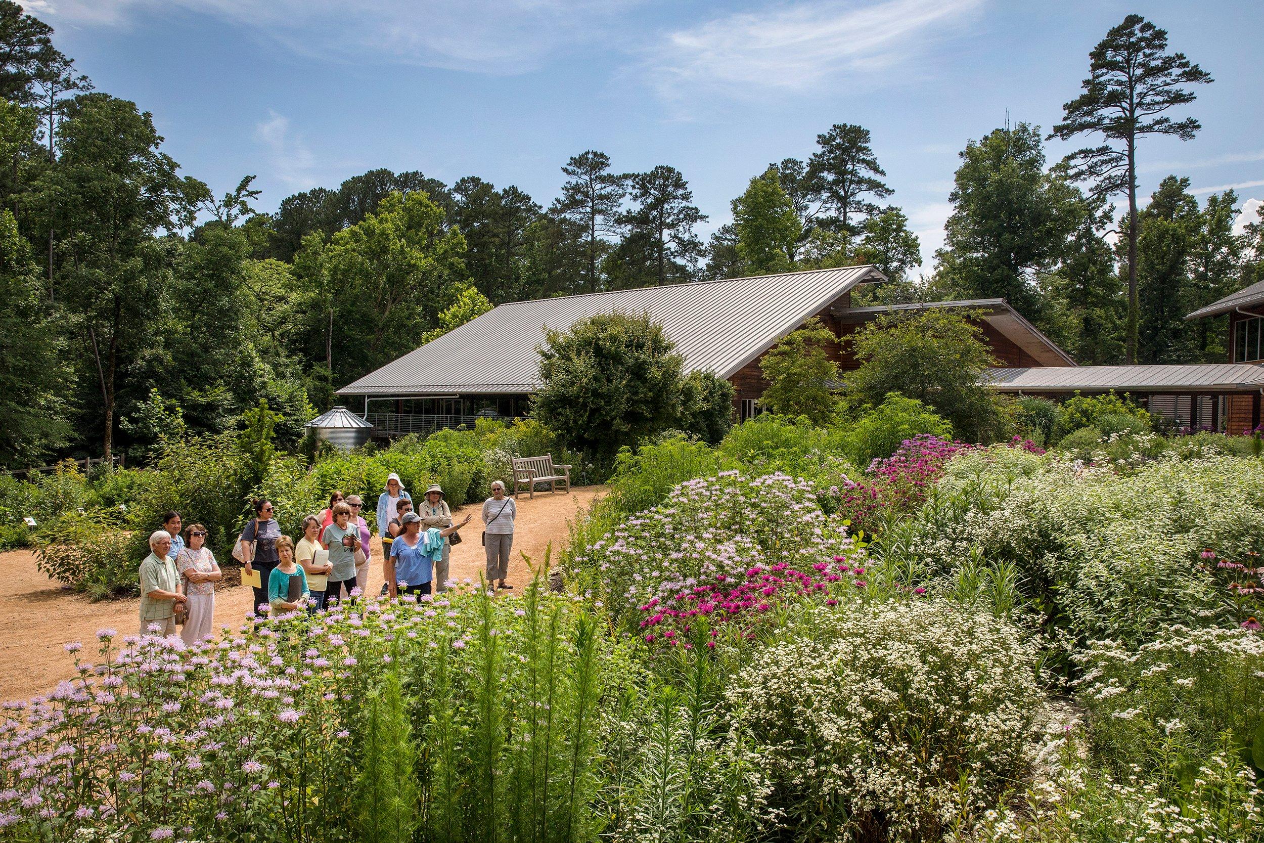 North Carolina Botanical Garden