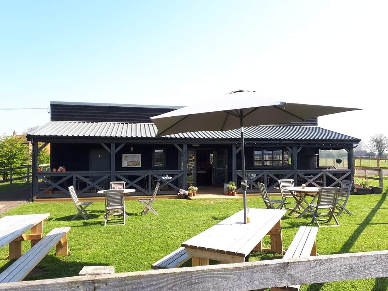 The Good The Bad And The Hungry