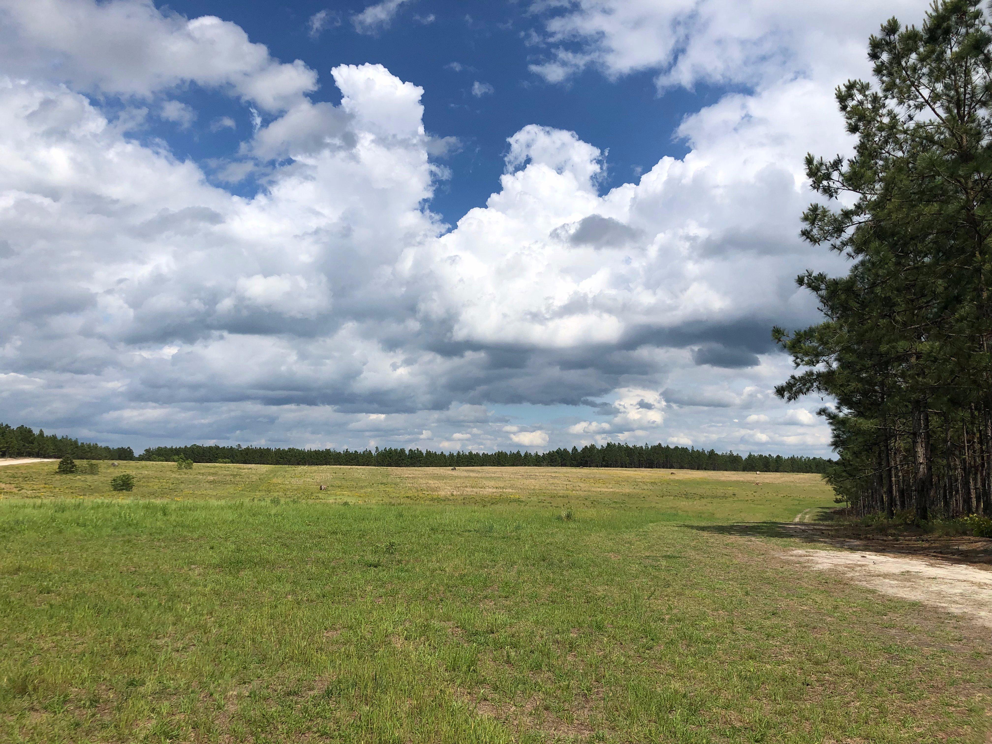 Photo by carolemV9715ZQ