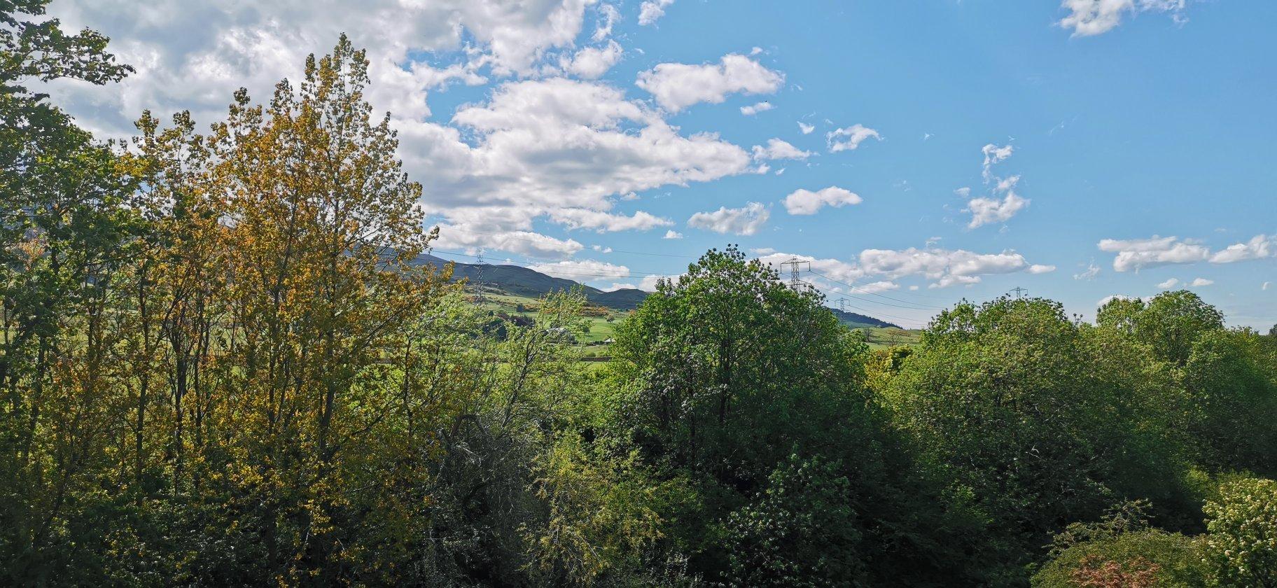 Craigdon Mountain Sports Cobbs Coffee Shop