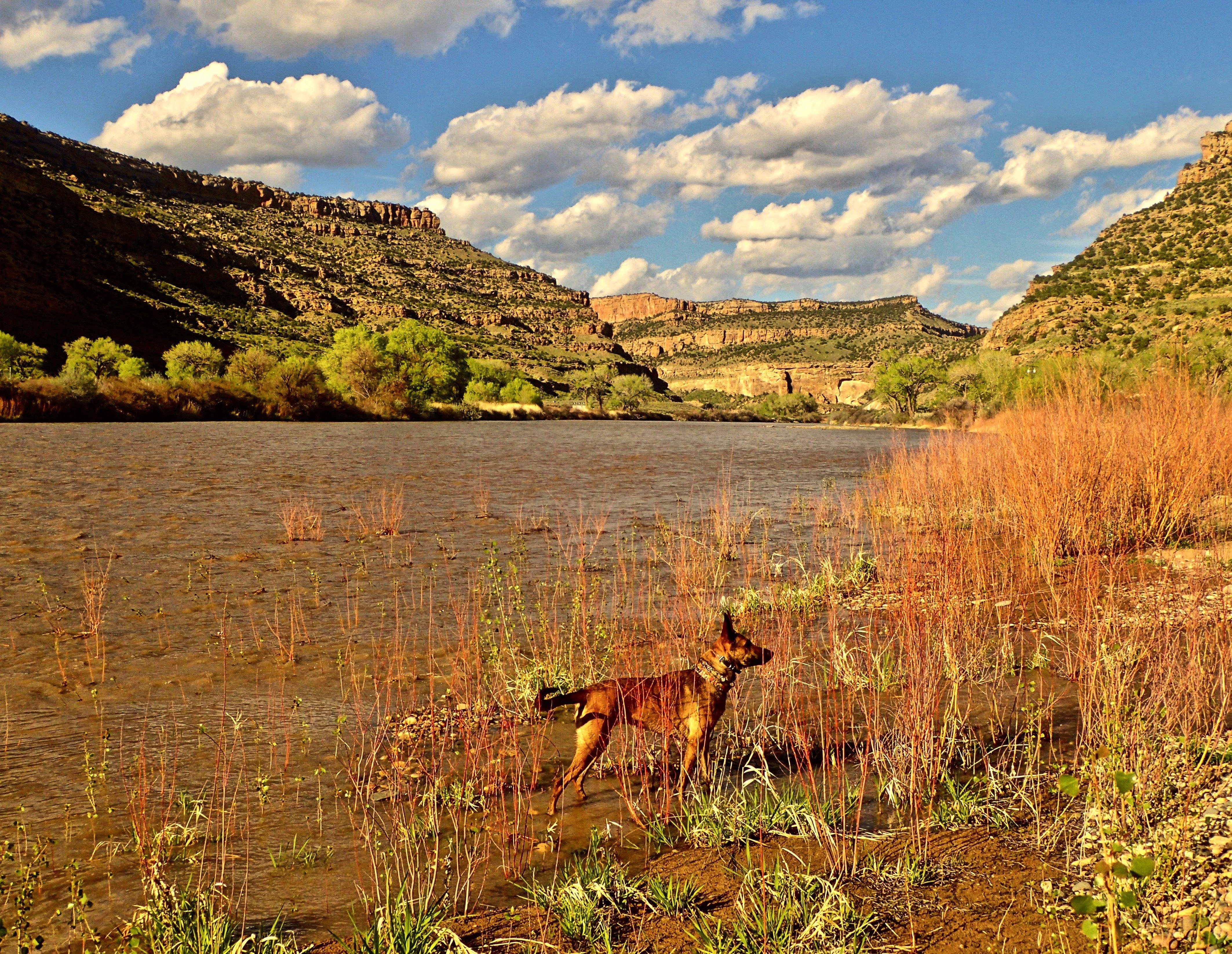 James M. Robb - Colorado River State Park