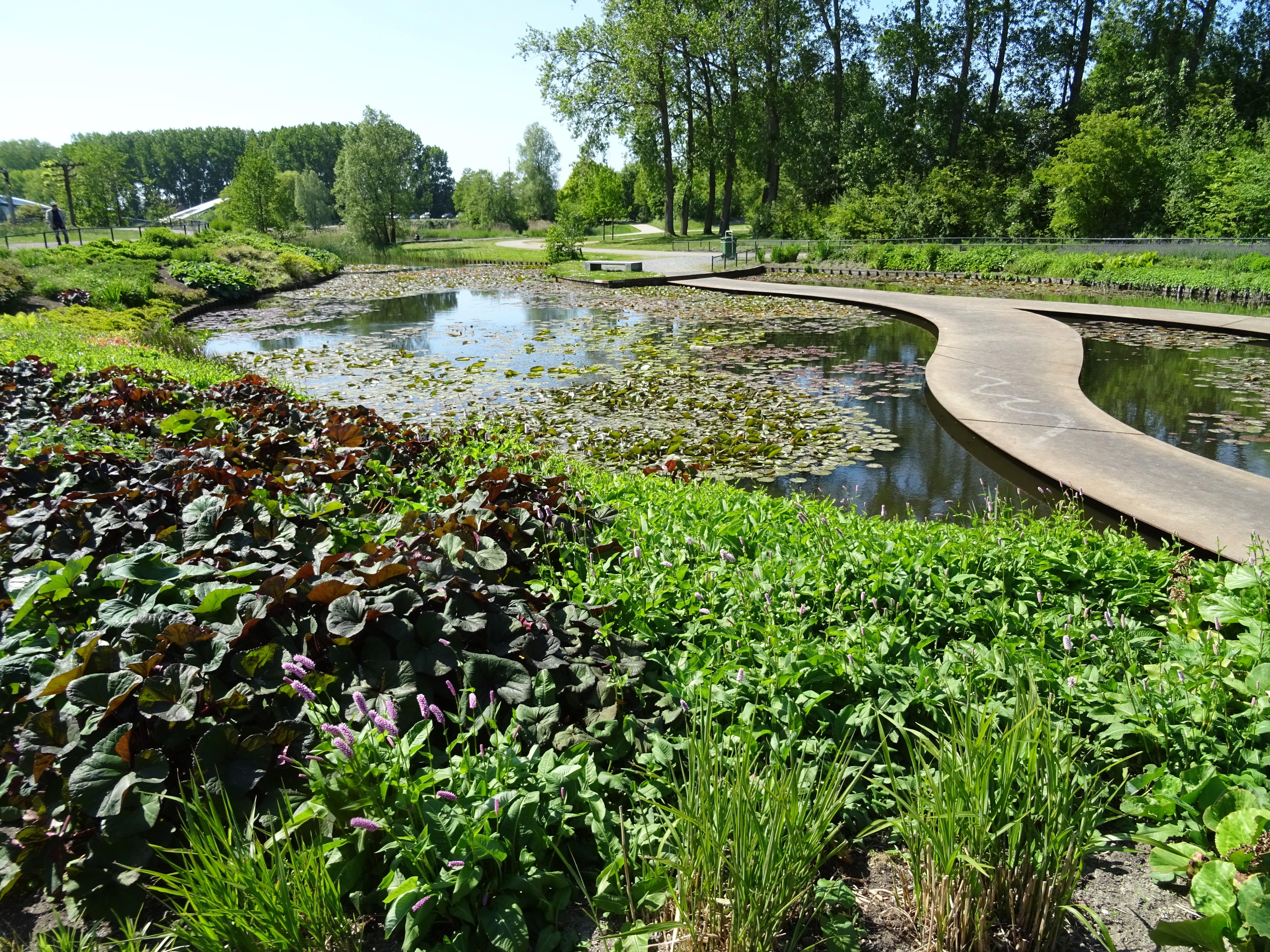 Haarlemmermeerse Bos