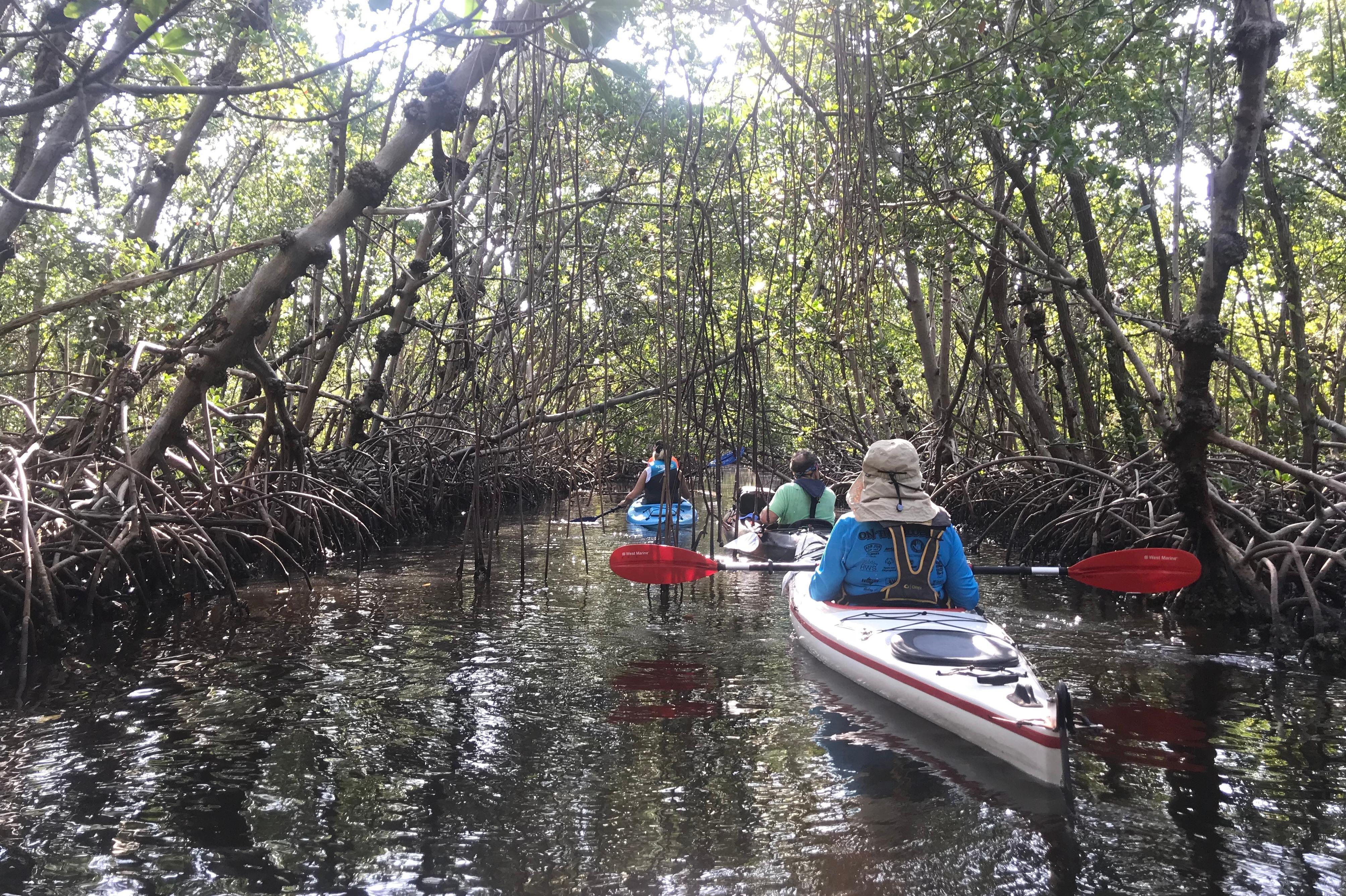 Ocean Tribe Outfitters