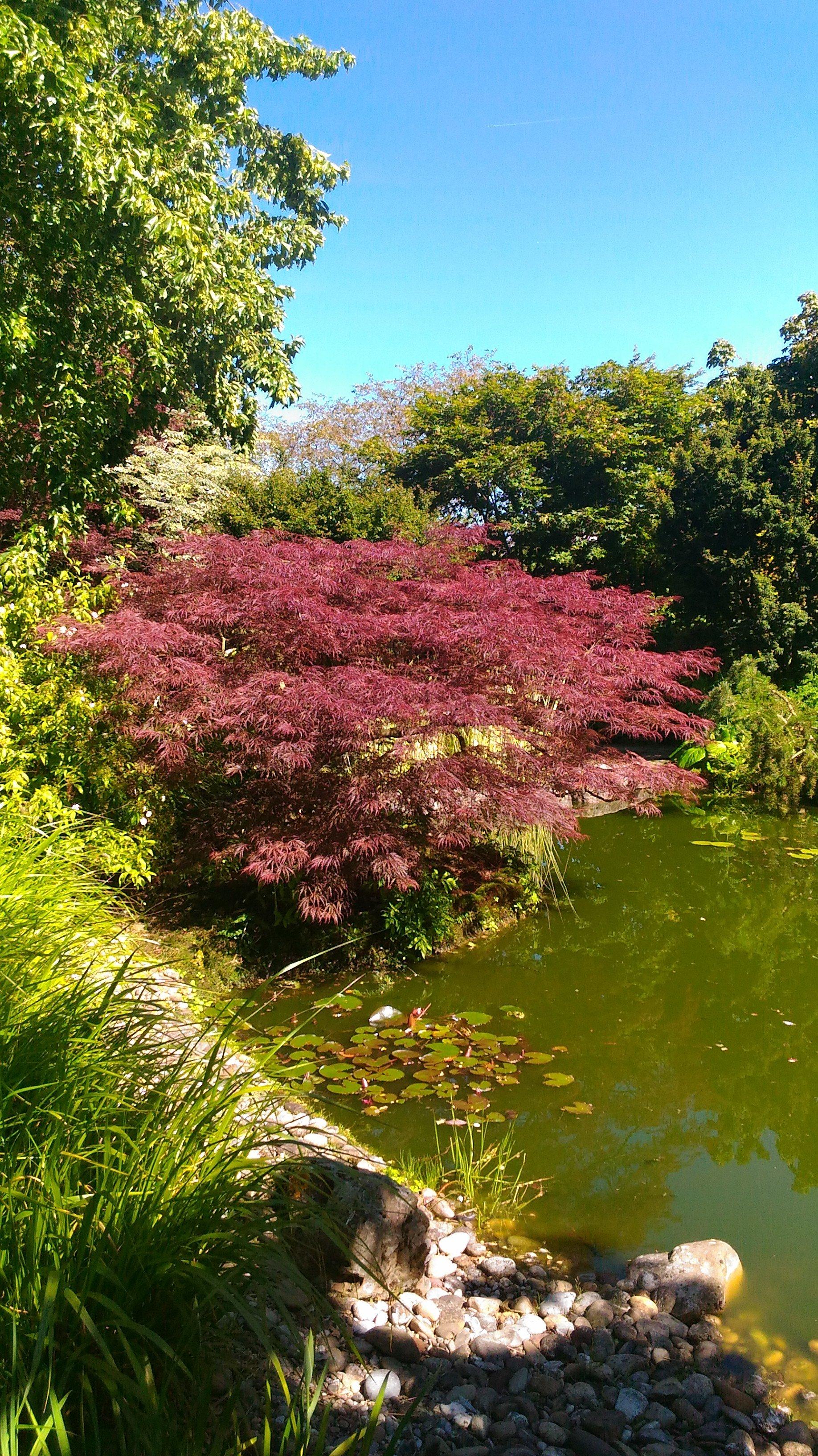 Jardins de Valeriane