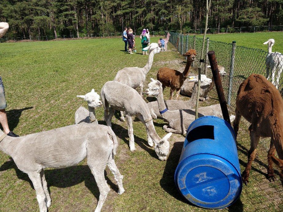 Photo by raoulhulsmans