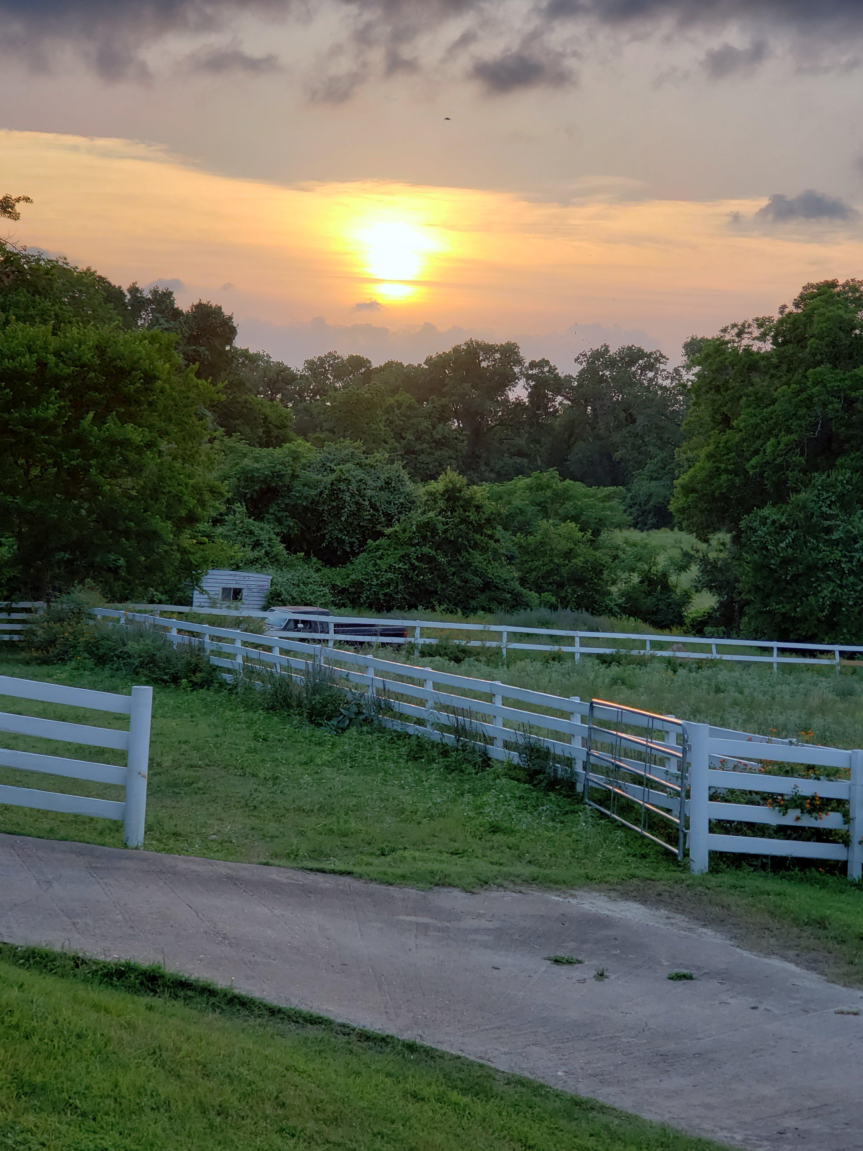 Blue Willow Farm B&B