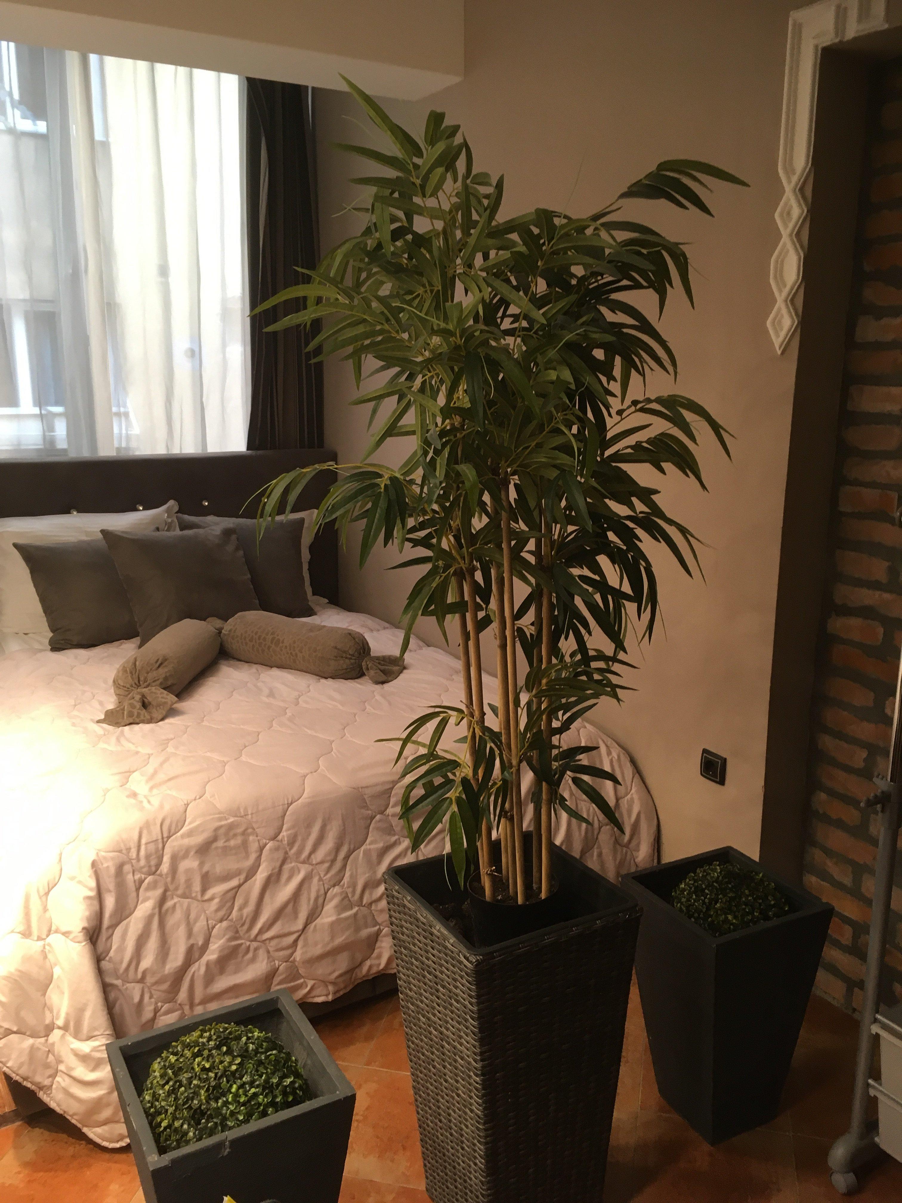 Ben Akiba Luxury Suites