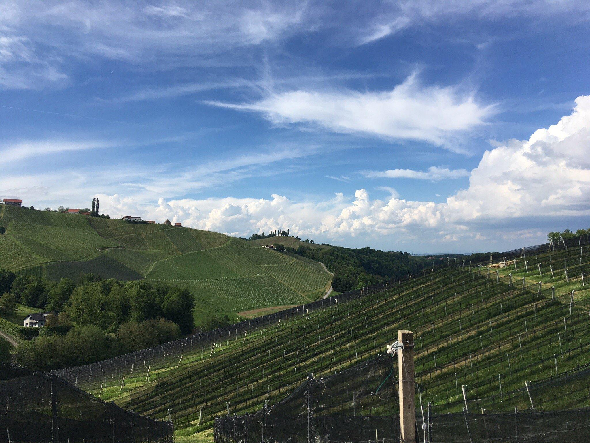 Weingut Karl & Gustav Strauss