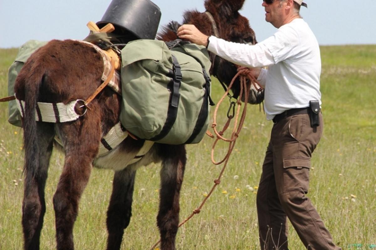 Entre Seine et Brevon