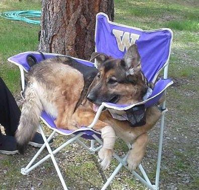 Photo by DaisyMae482