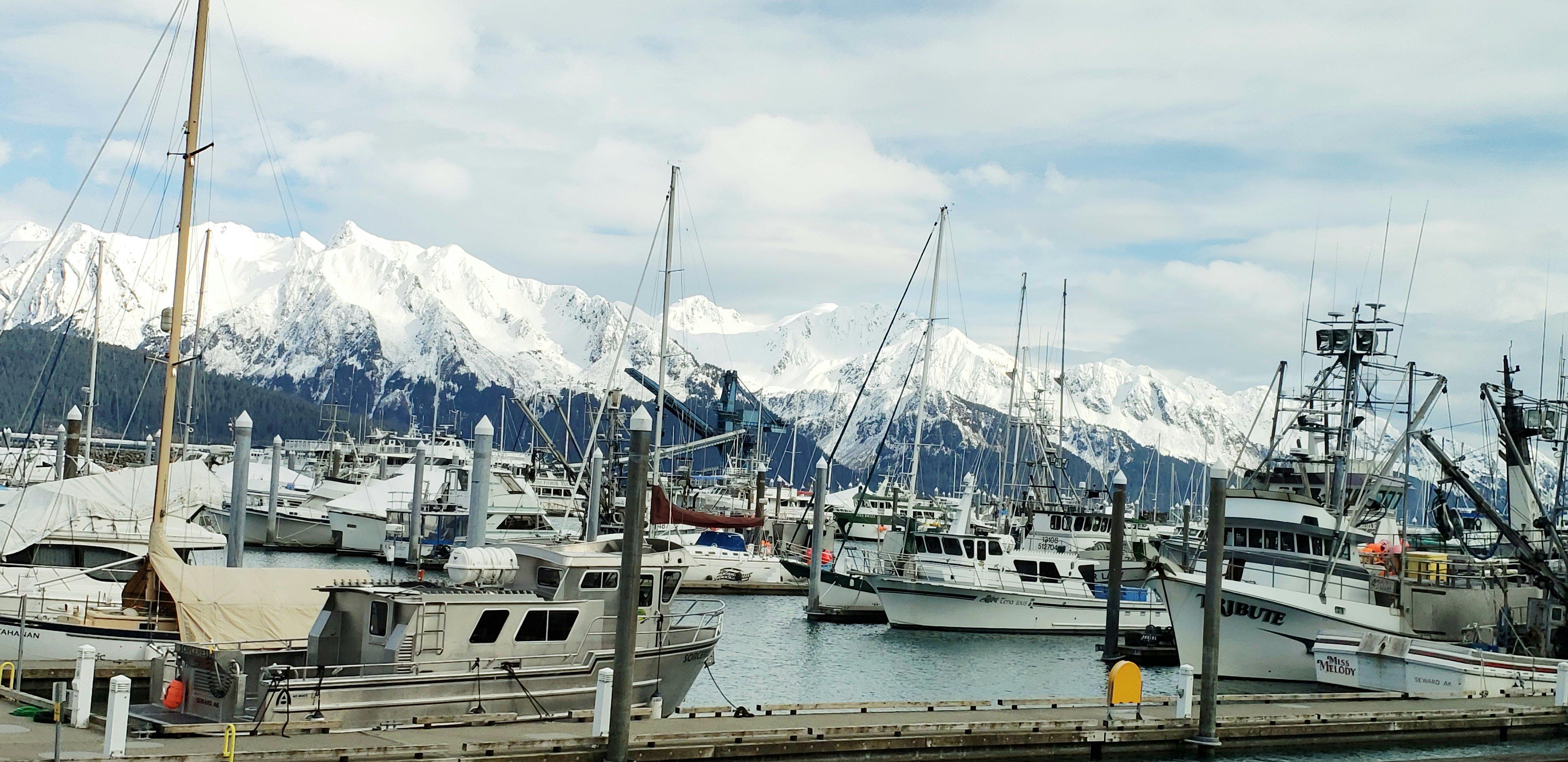 Photo by nicolehorsman1