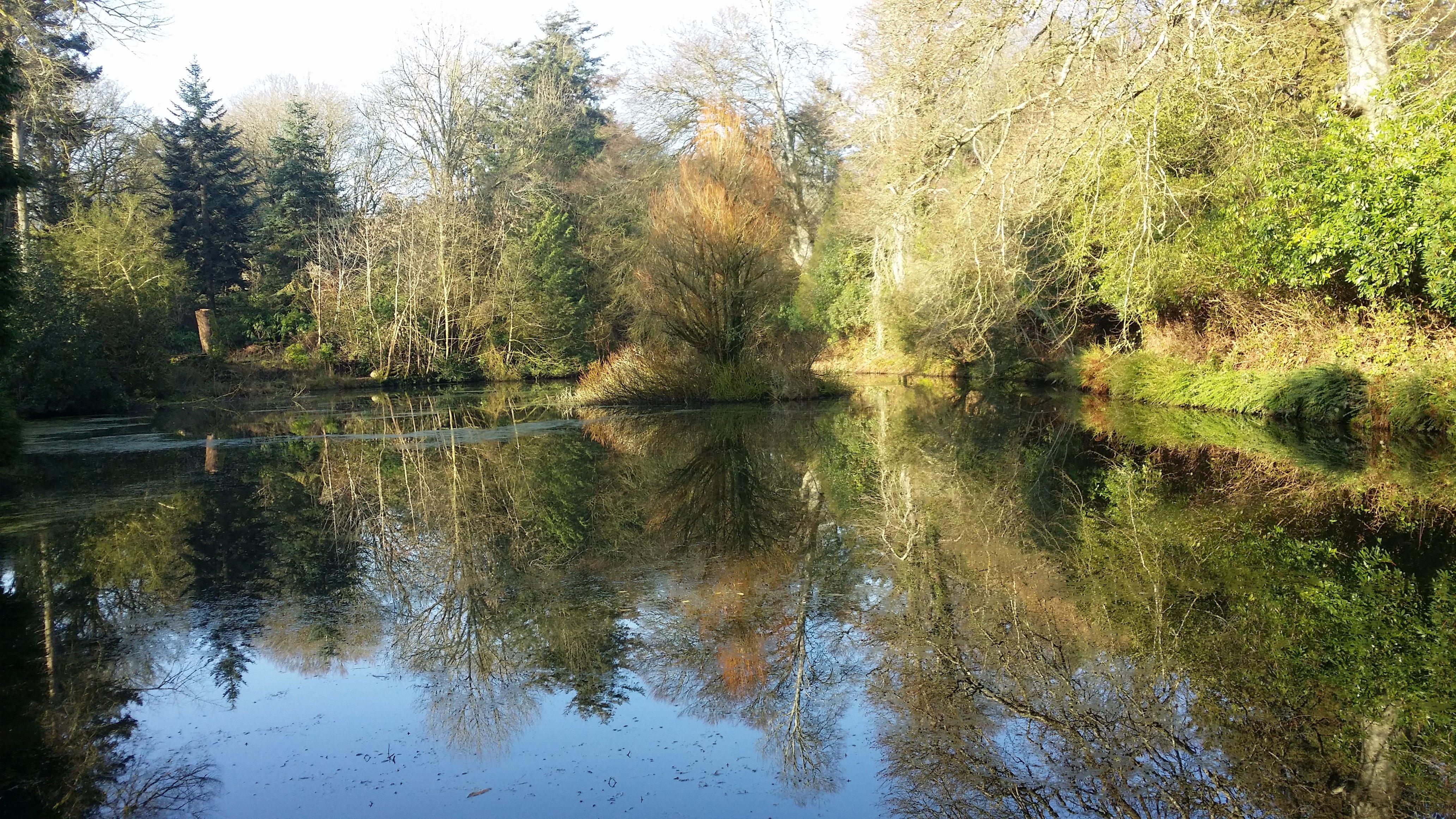 Arbigland House and Gardens