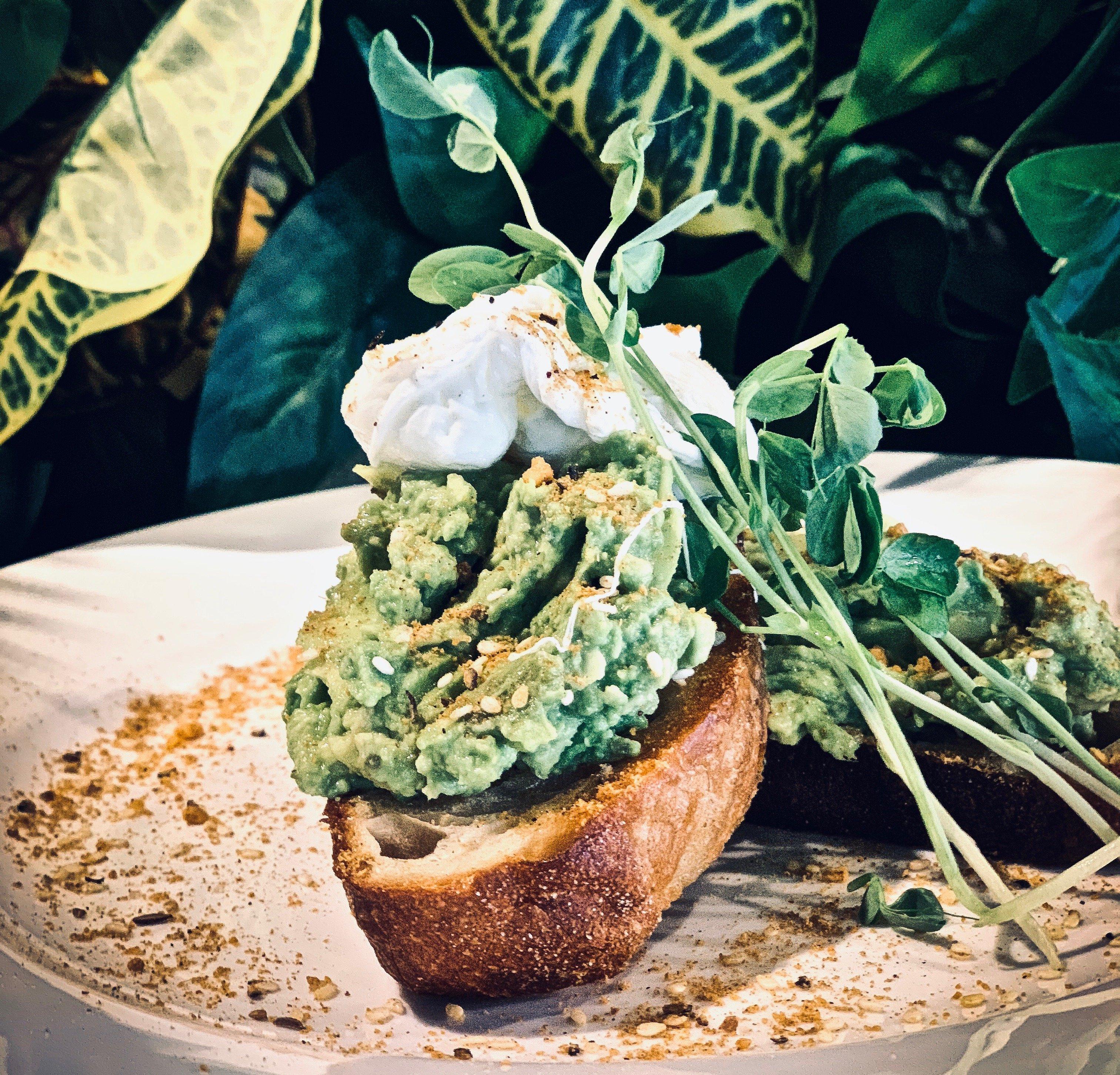 Pottsville Bake House