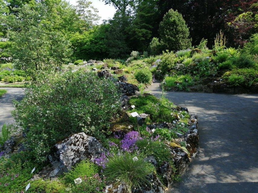 Botanischer Garten Giessen