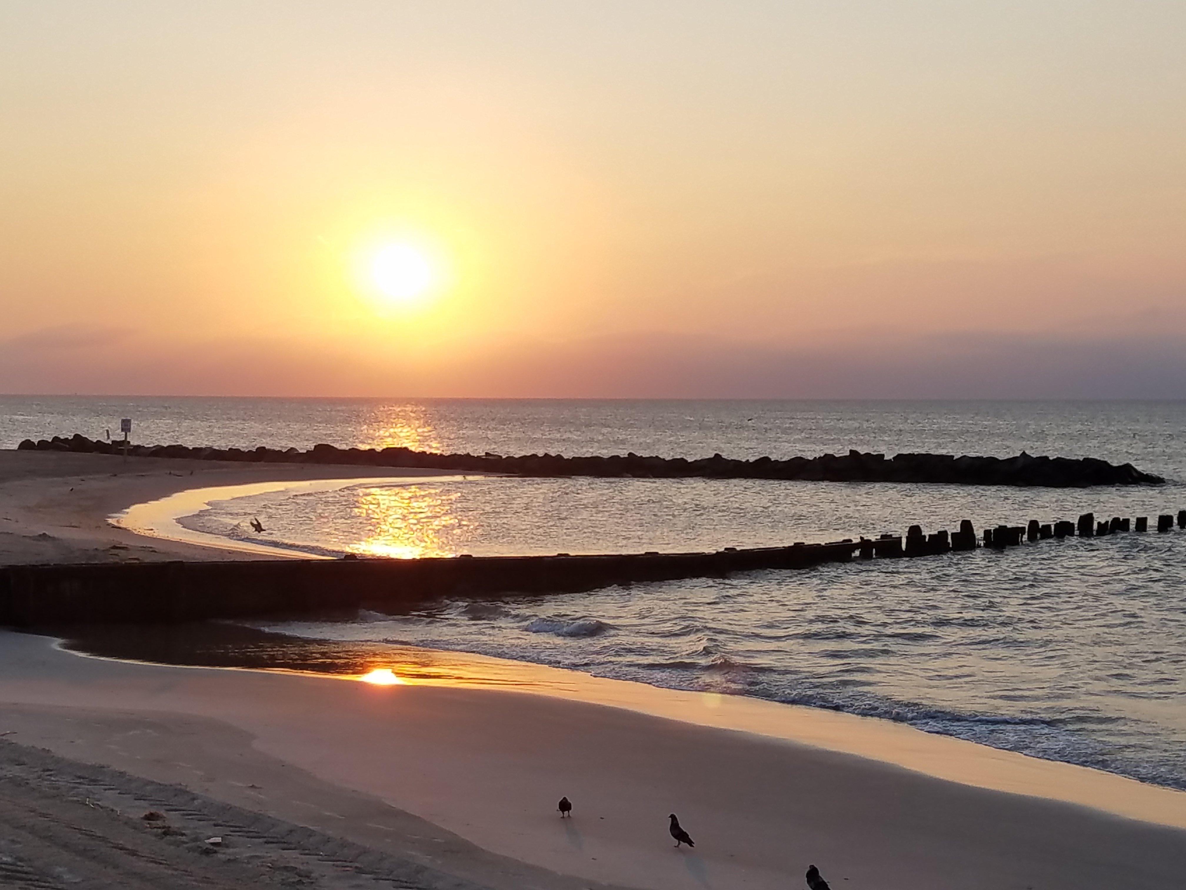 Photo by Shandrew2019