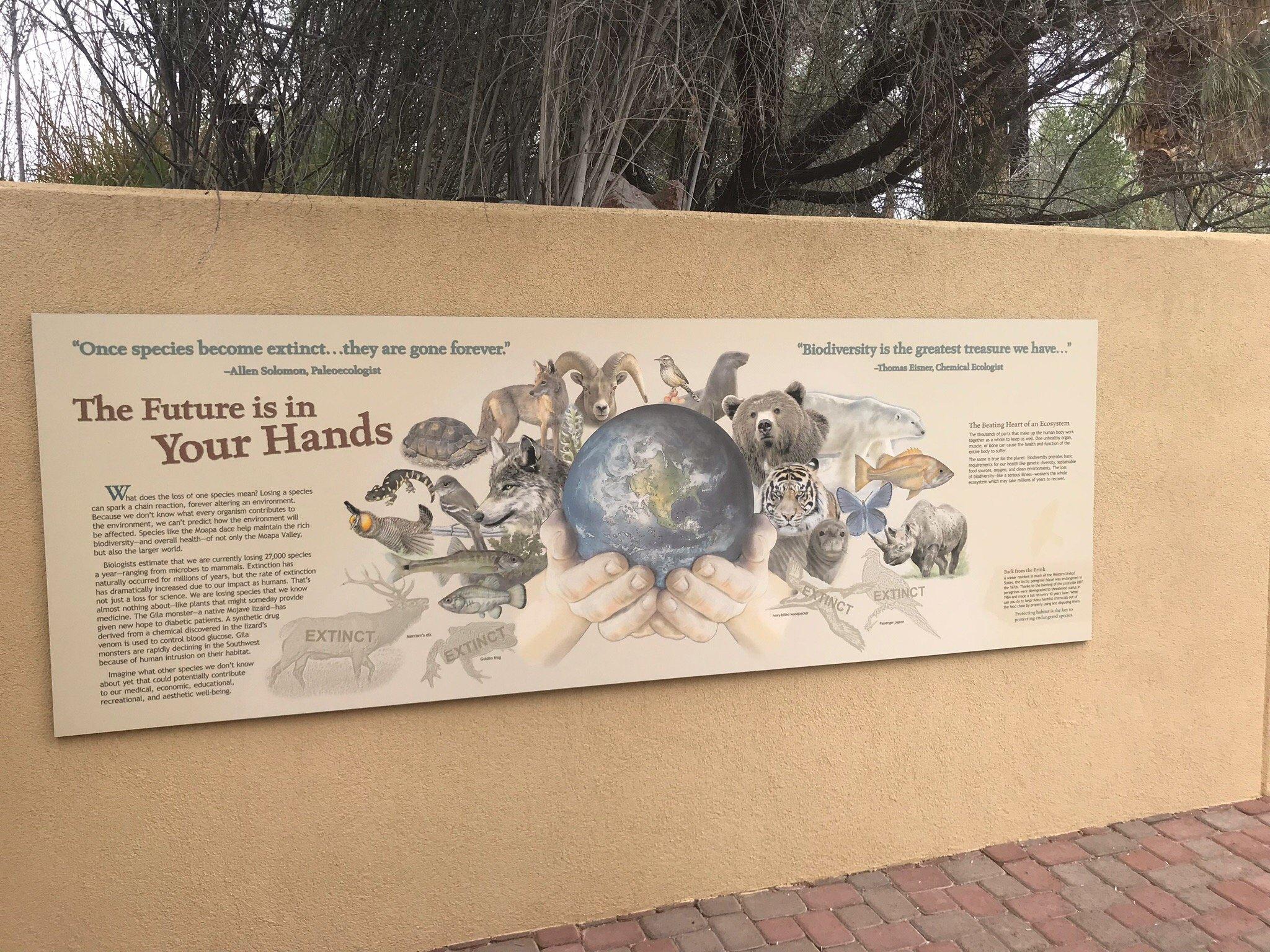 Moapa Valley National Wildlife Refuge