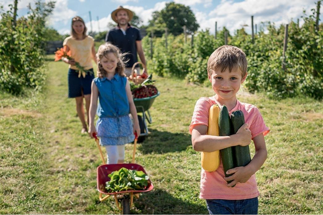 Les Cueillettes Chapeau de Paille