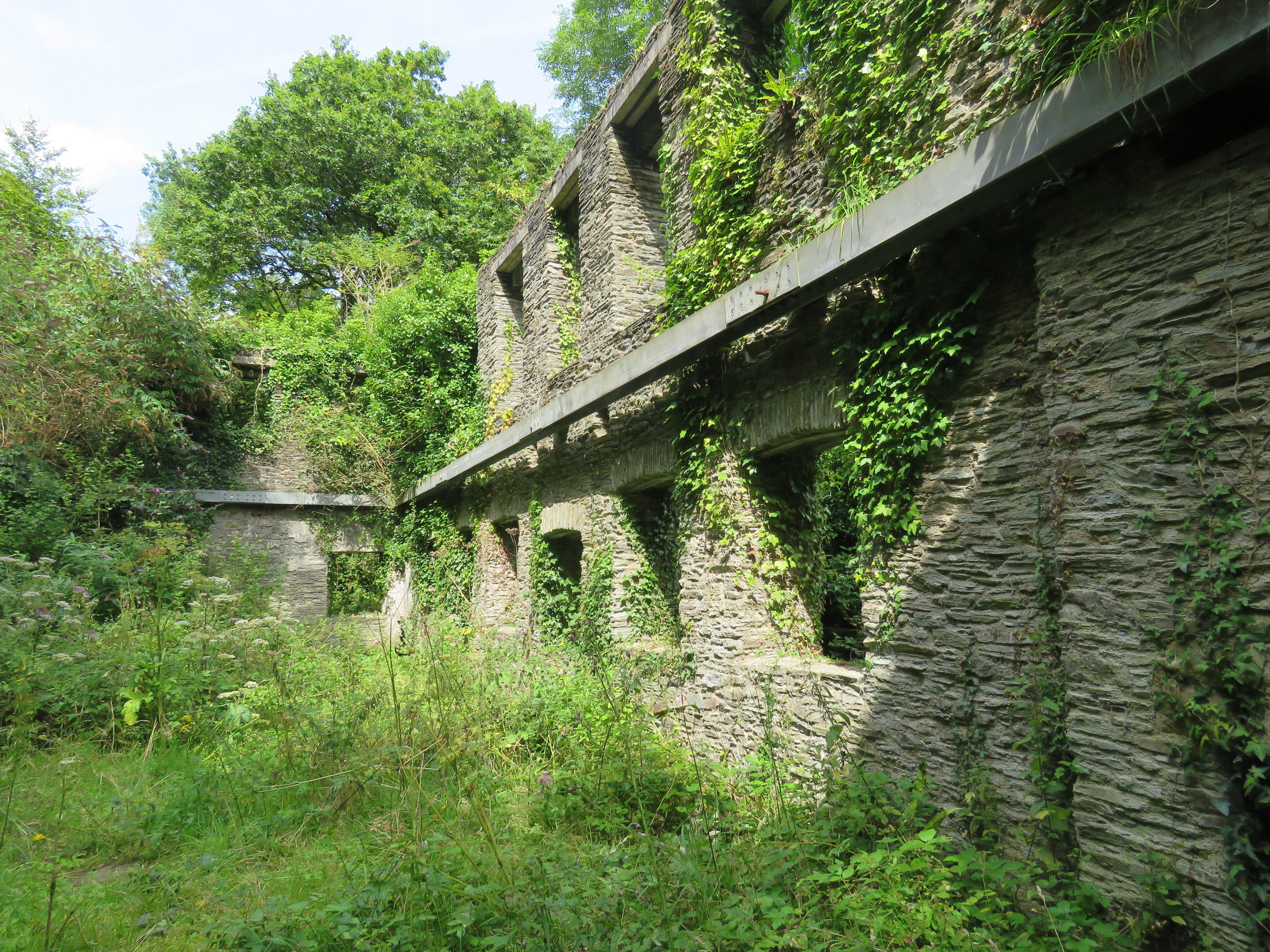 Cotehele and Metherell circular walk