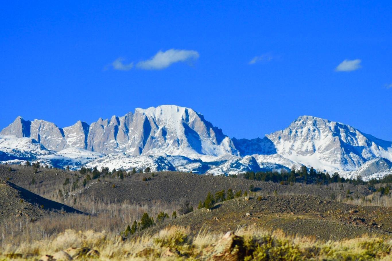 Pinedale Nature Tours