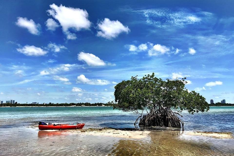 Salty Soul Adventures Inc