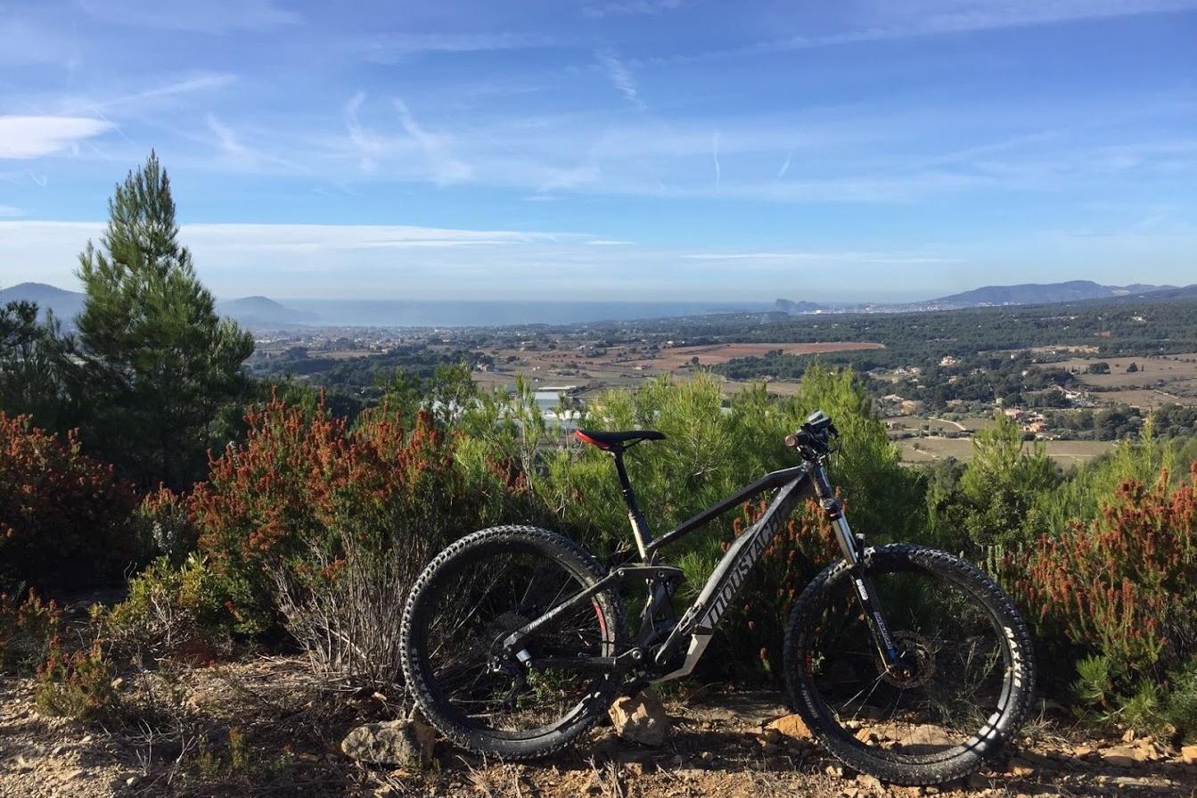 Les Chemins de la Vigne