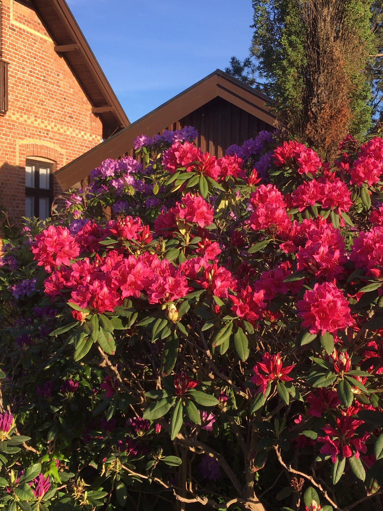 Kagerods Vardshus Tre Stjarnor